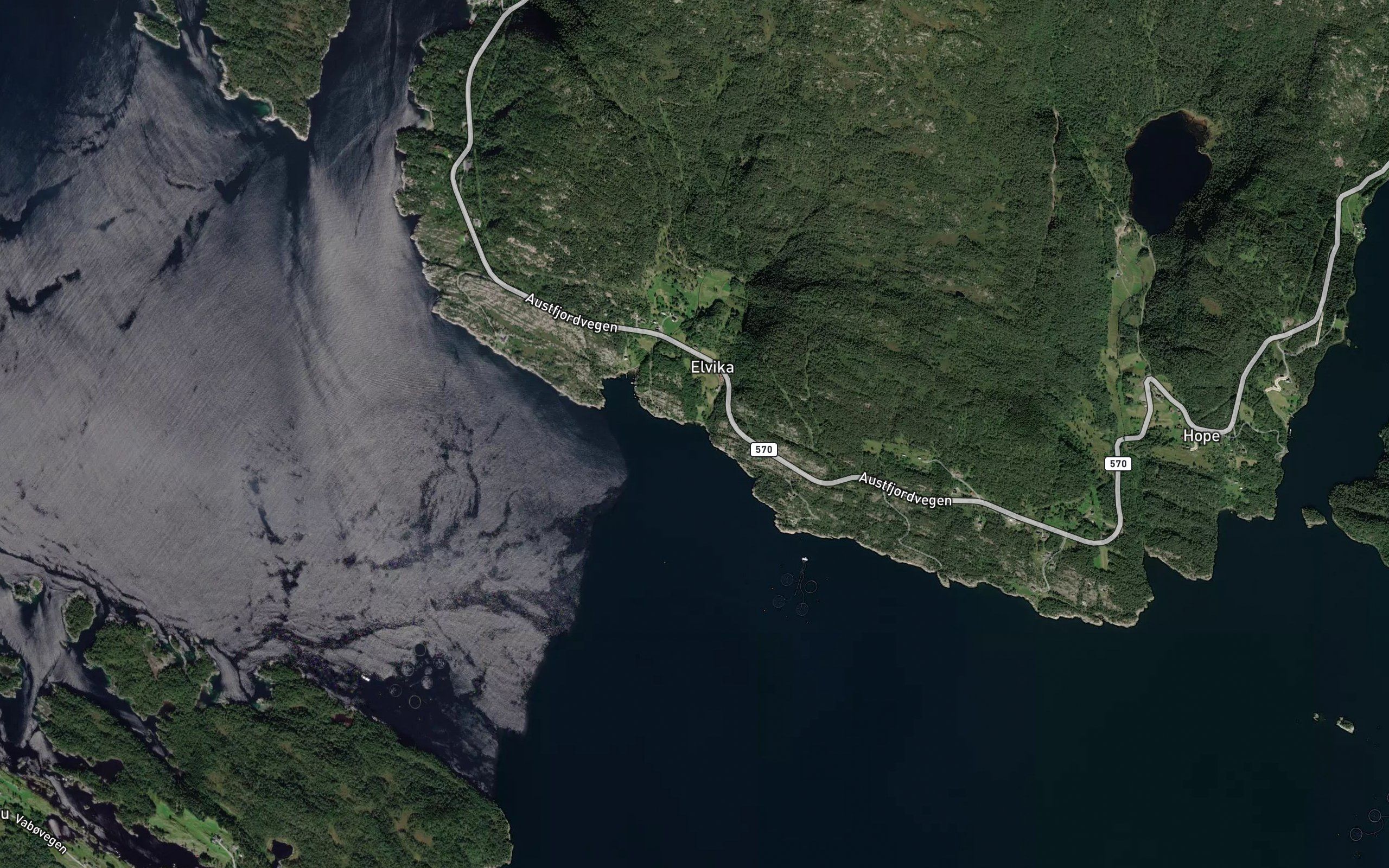 Nautevika