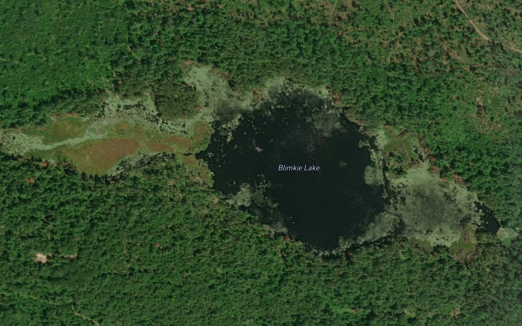 Satellite map of the Blimkie Lake