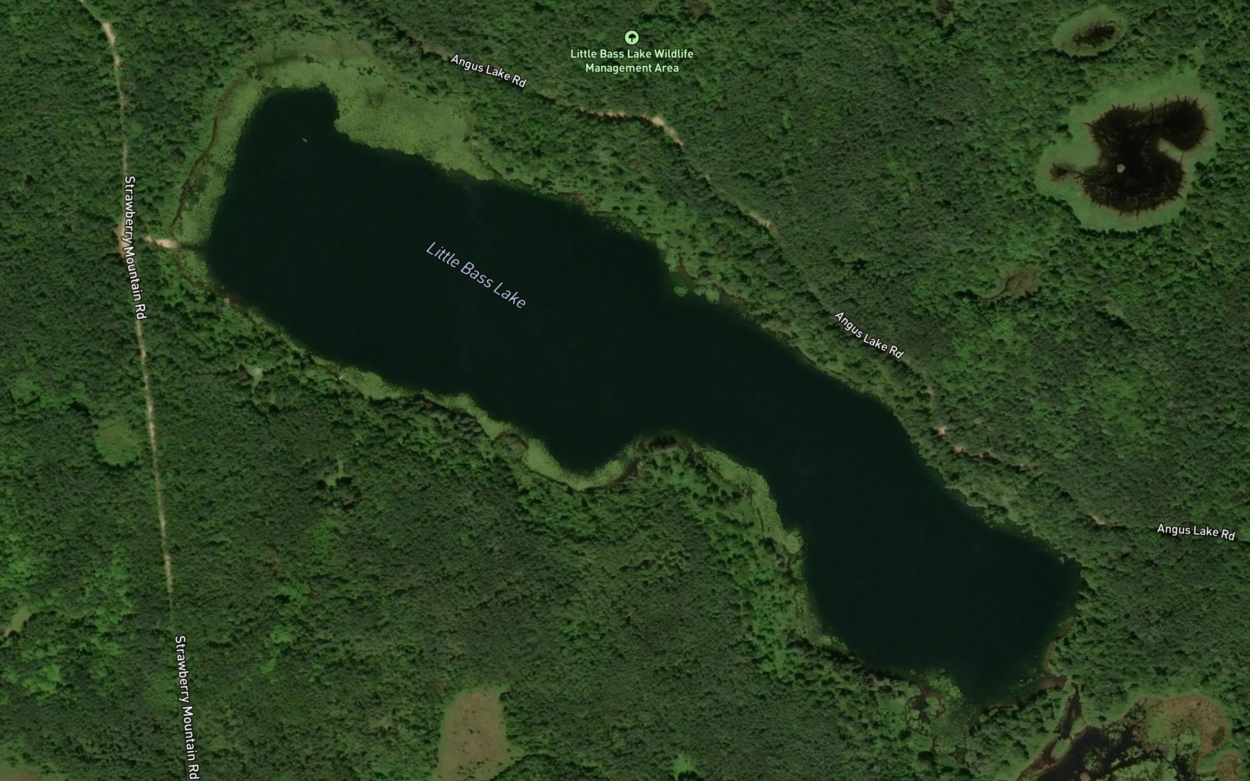 Satellite map of the Little Bass Lake