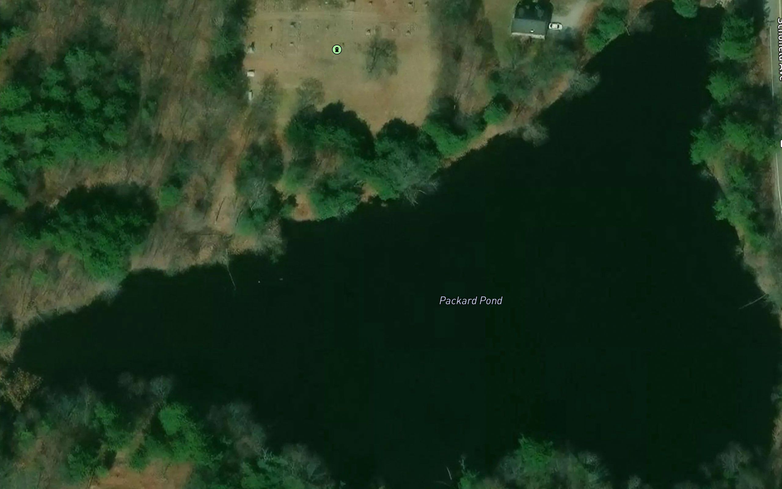 Packard Pond