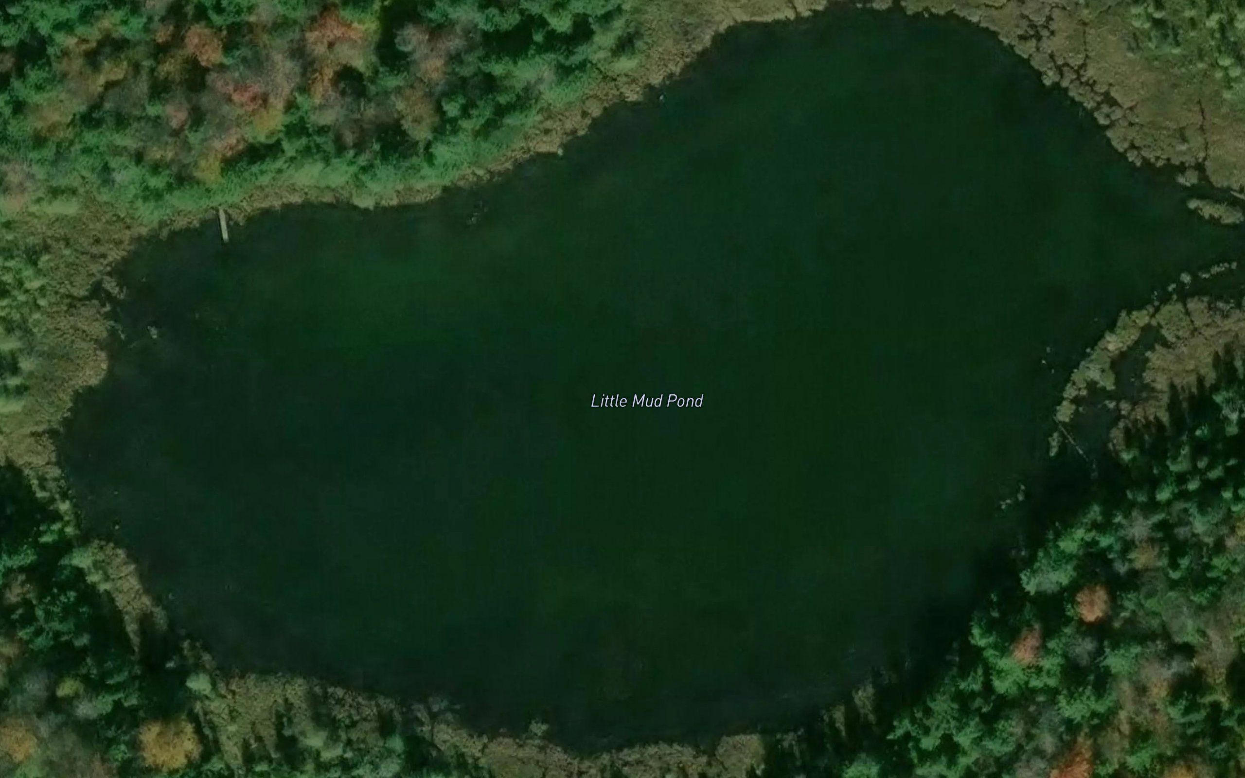 Little Mud Pond