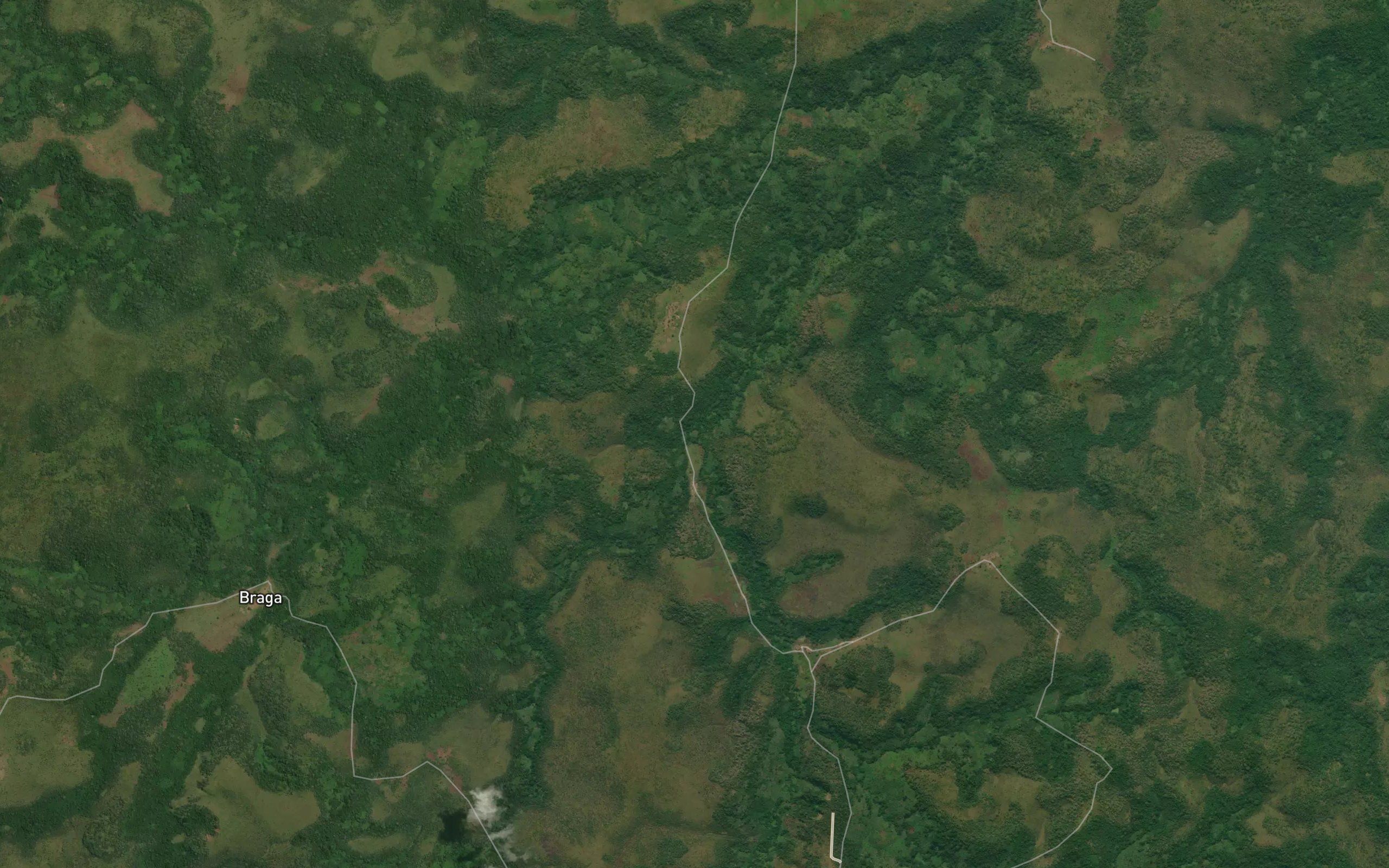 Mbivuia