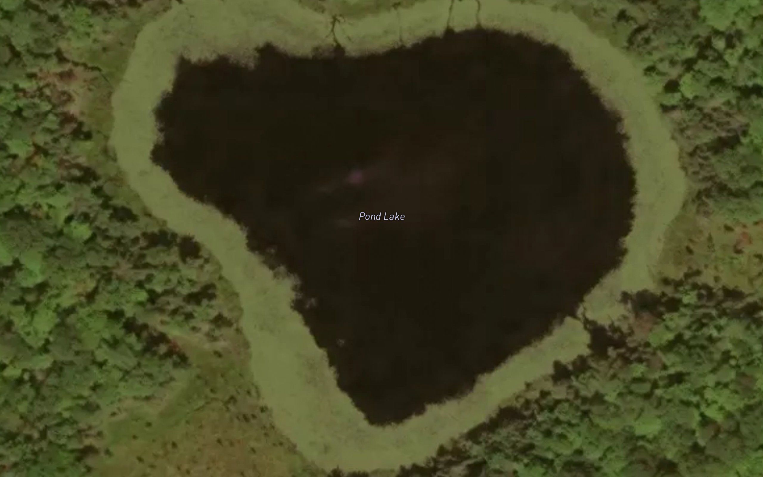 Pond Lake