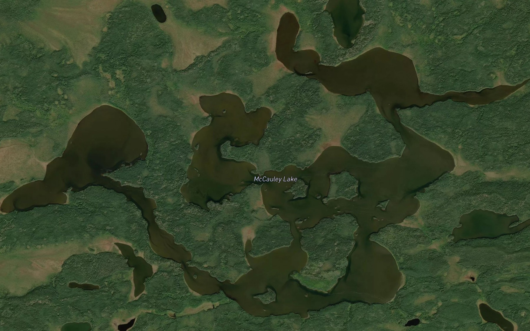 Satellite map of the McCauley Lake