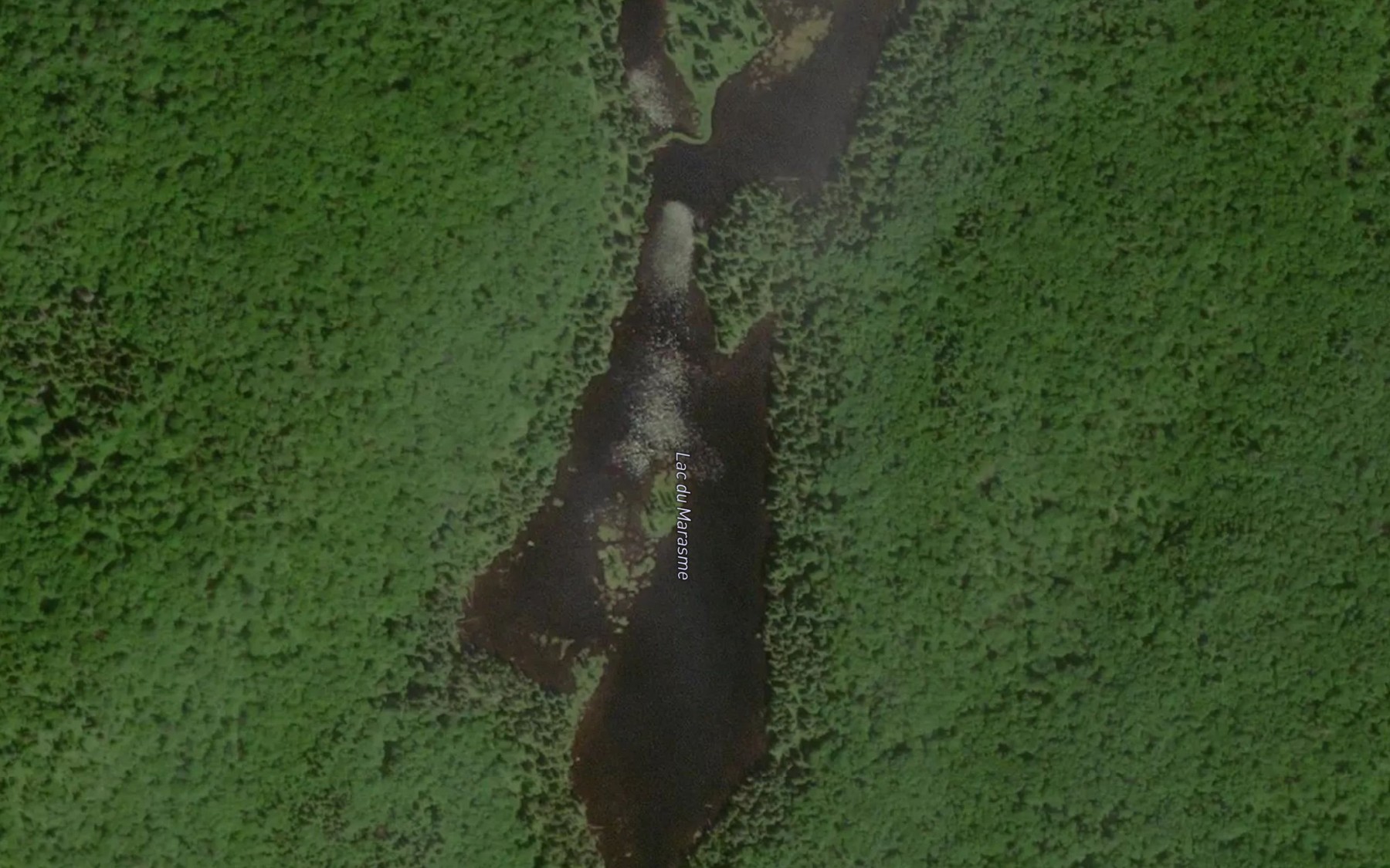 Satellite map of the Lac du Marasme