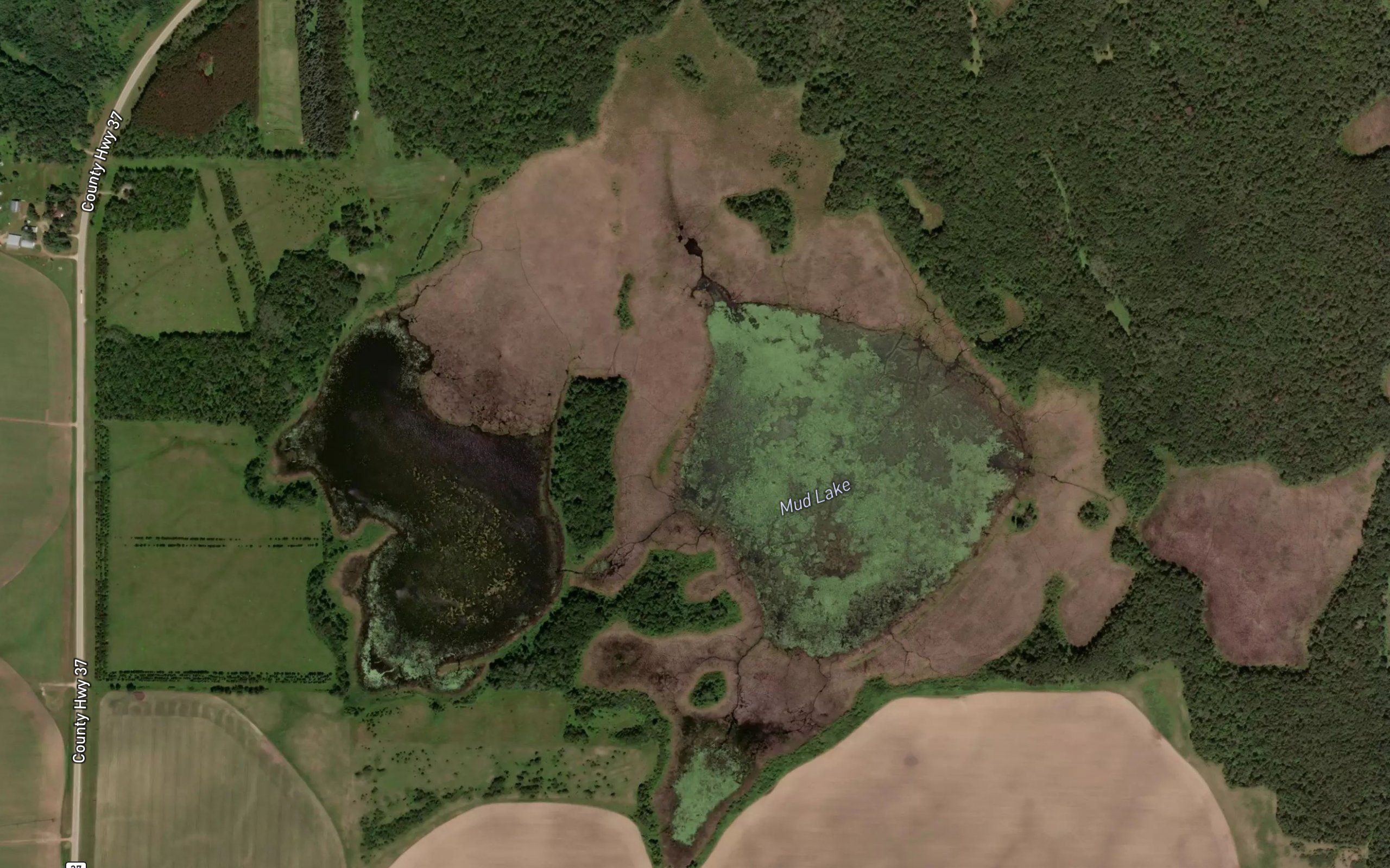 Mud Lake