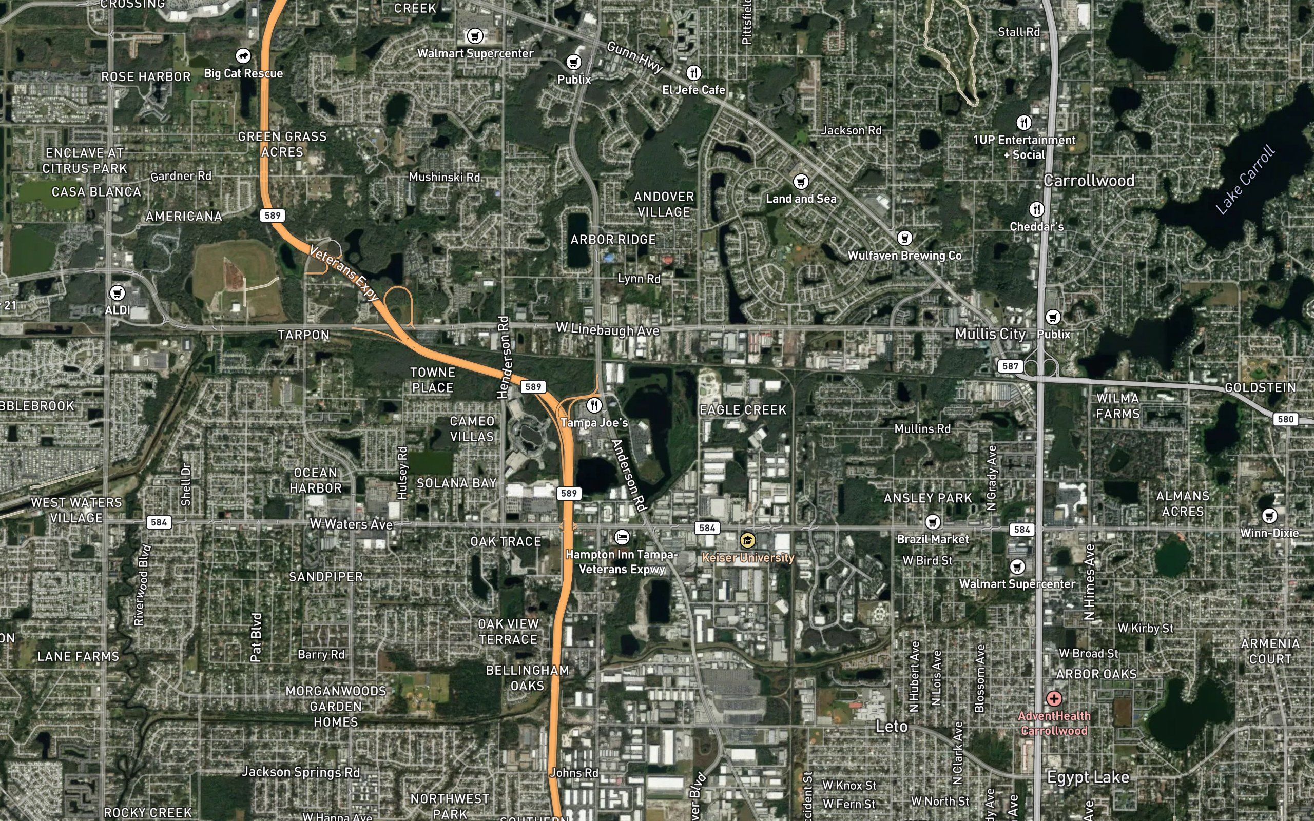 Citrus Park Lake