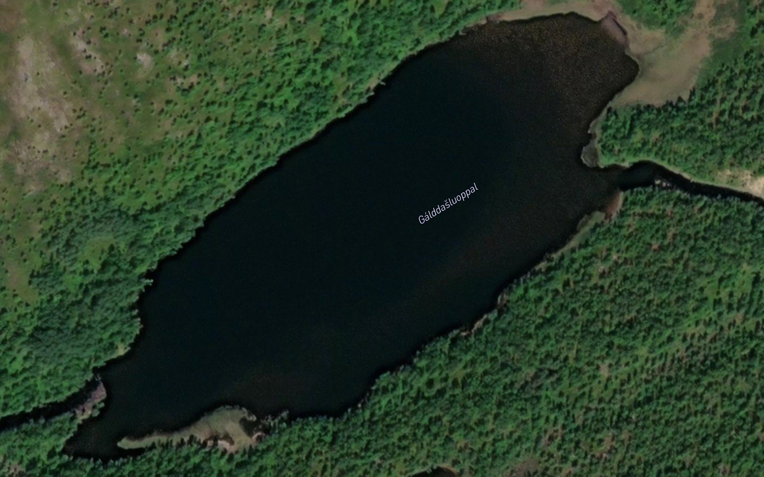 Galddasluoppal