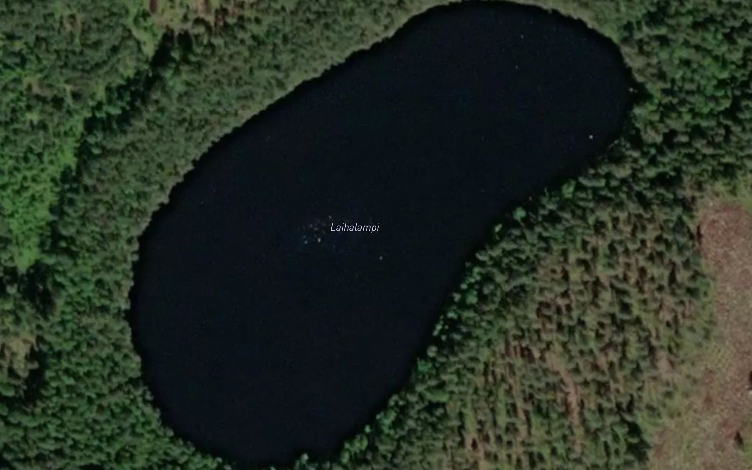 Laihalampi
