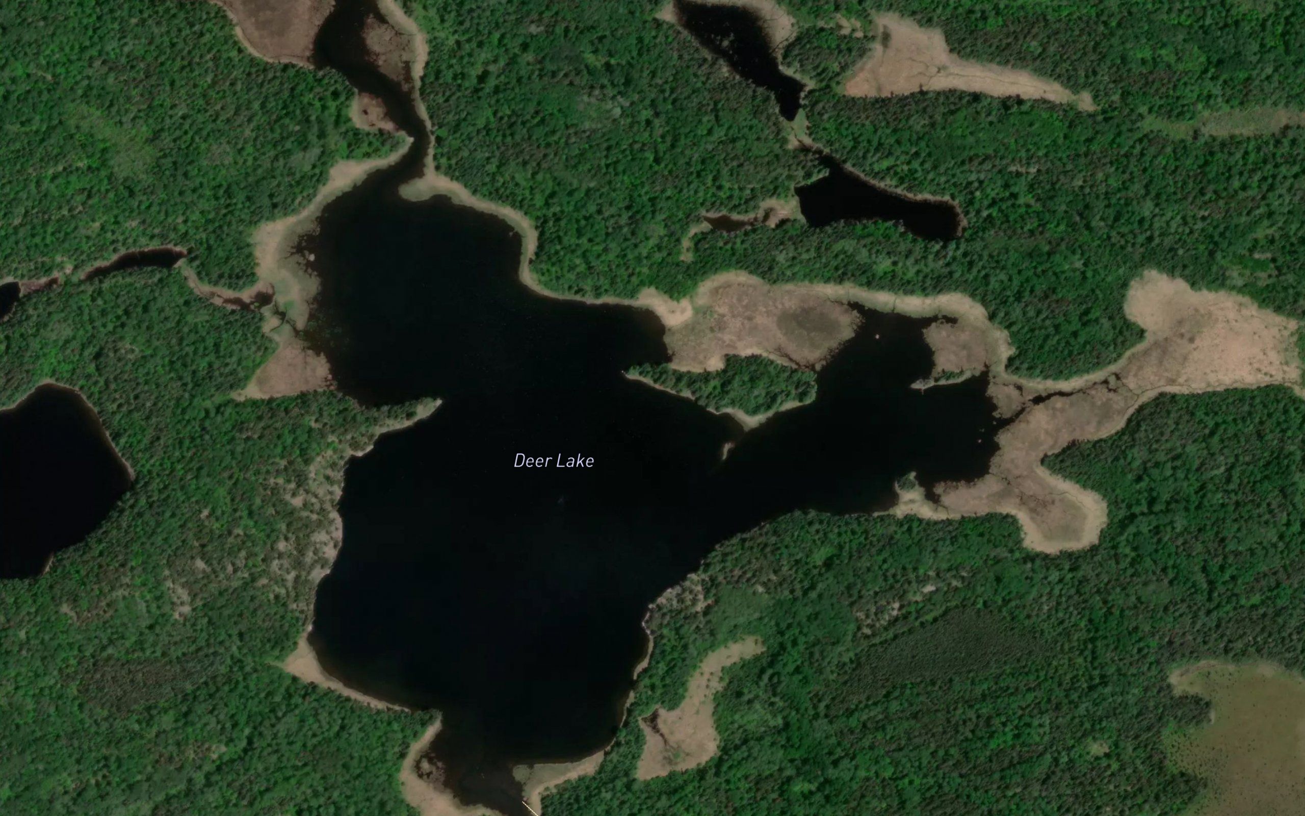 Deer Lake