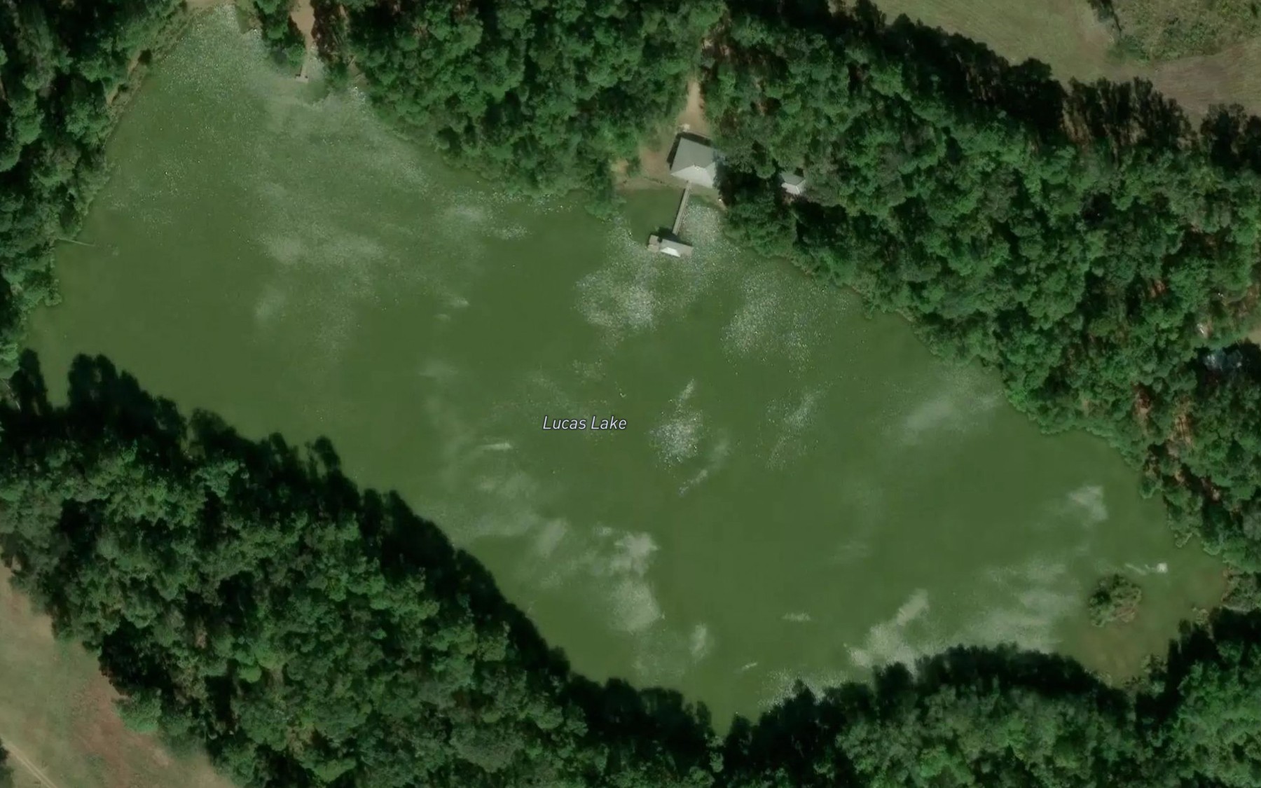 Satellite map of the Lucas Lake