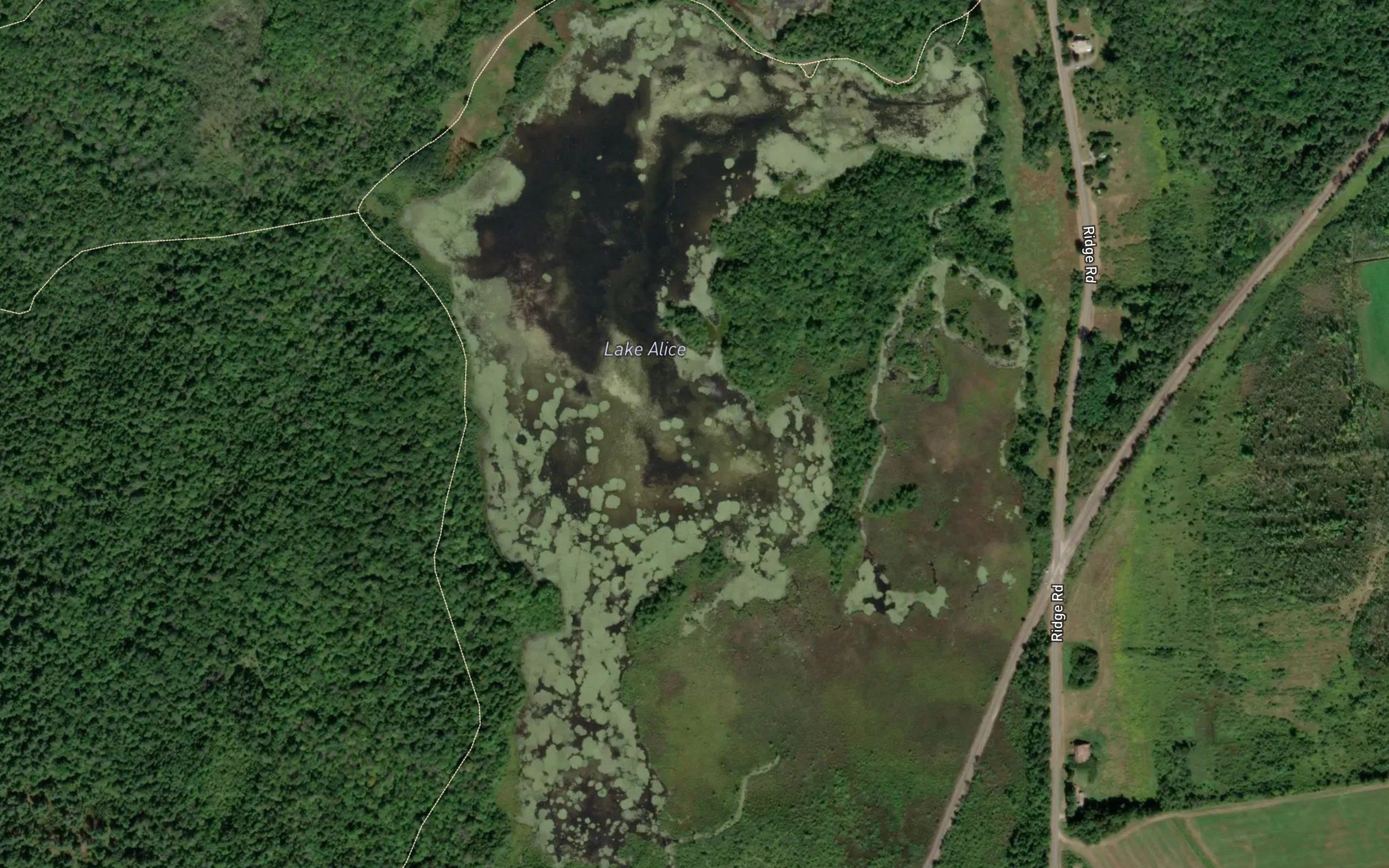 Lake Alice