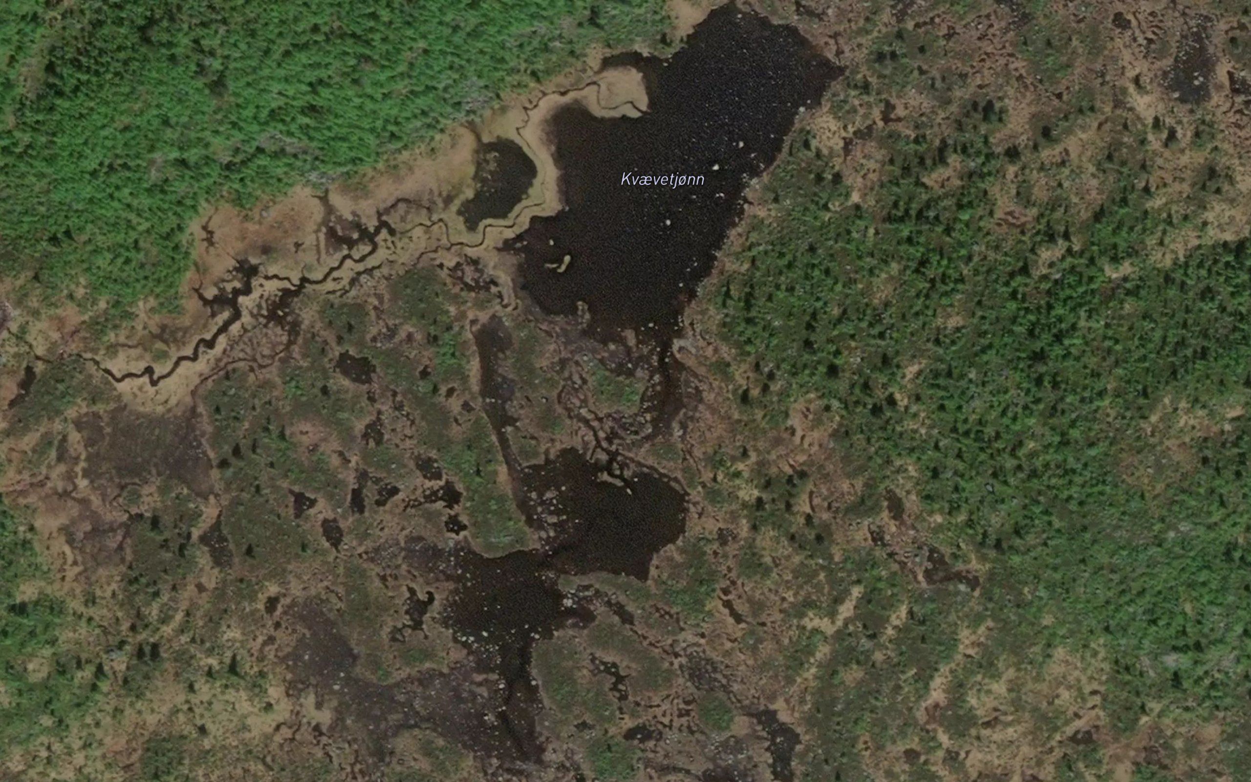 Kvaevetjorn