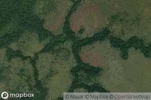 Alindi