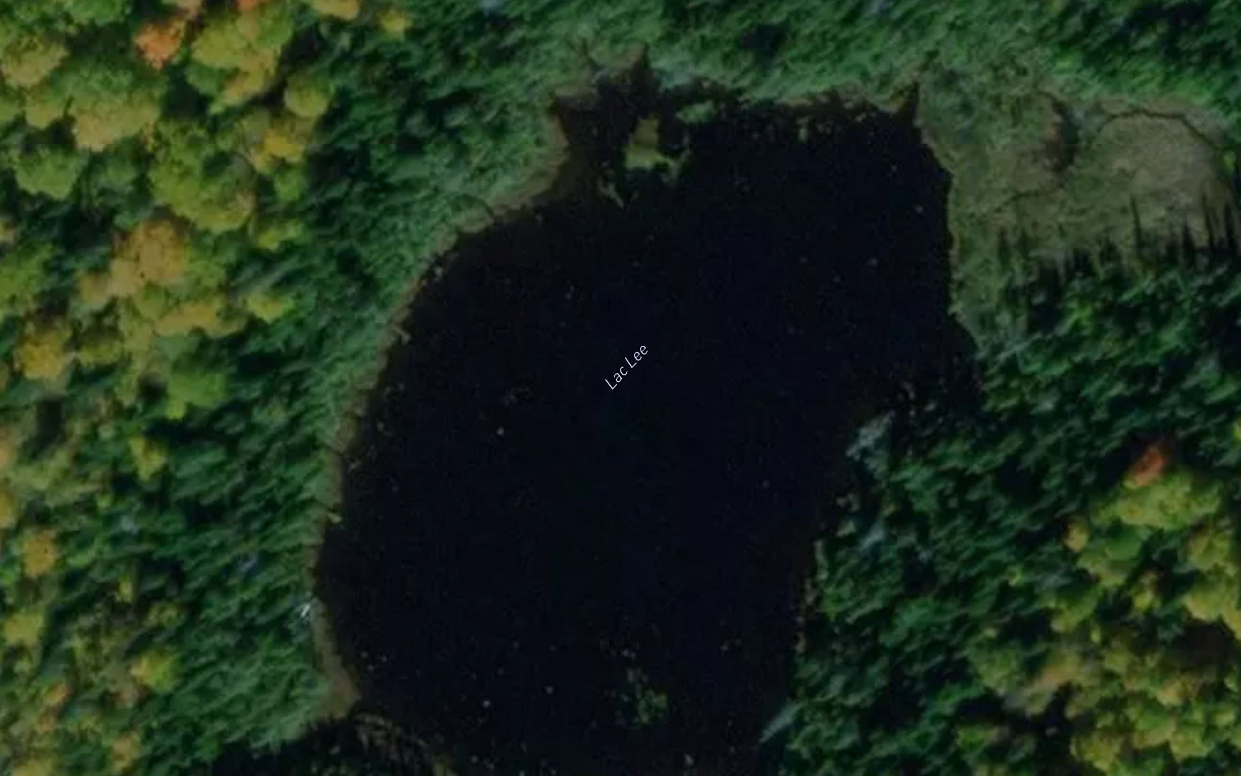 Lac Lee