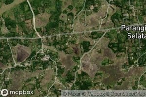 Pea Lobutolong Bagasan