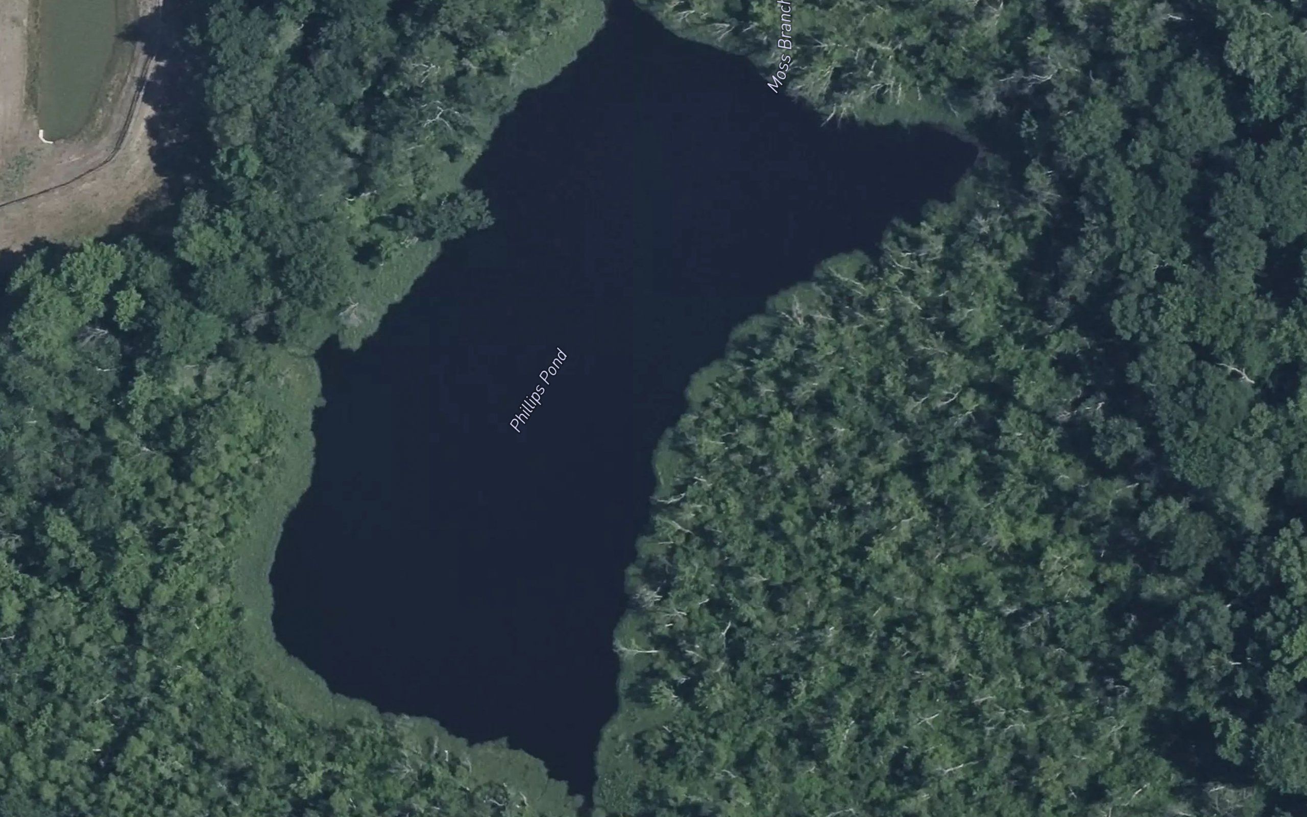 Phillips Pond