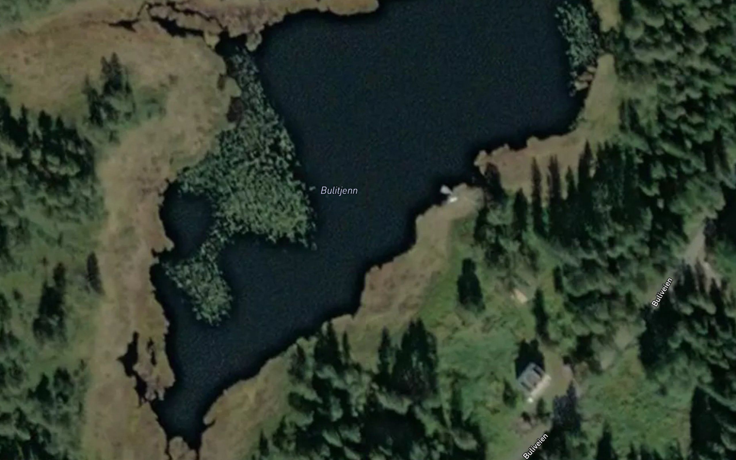 Bulitjenn