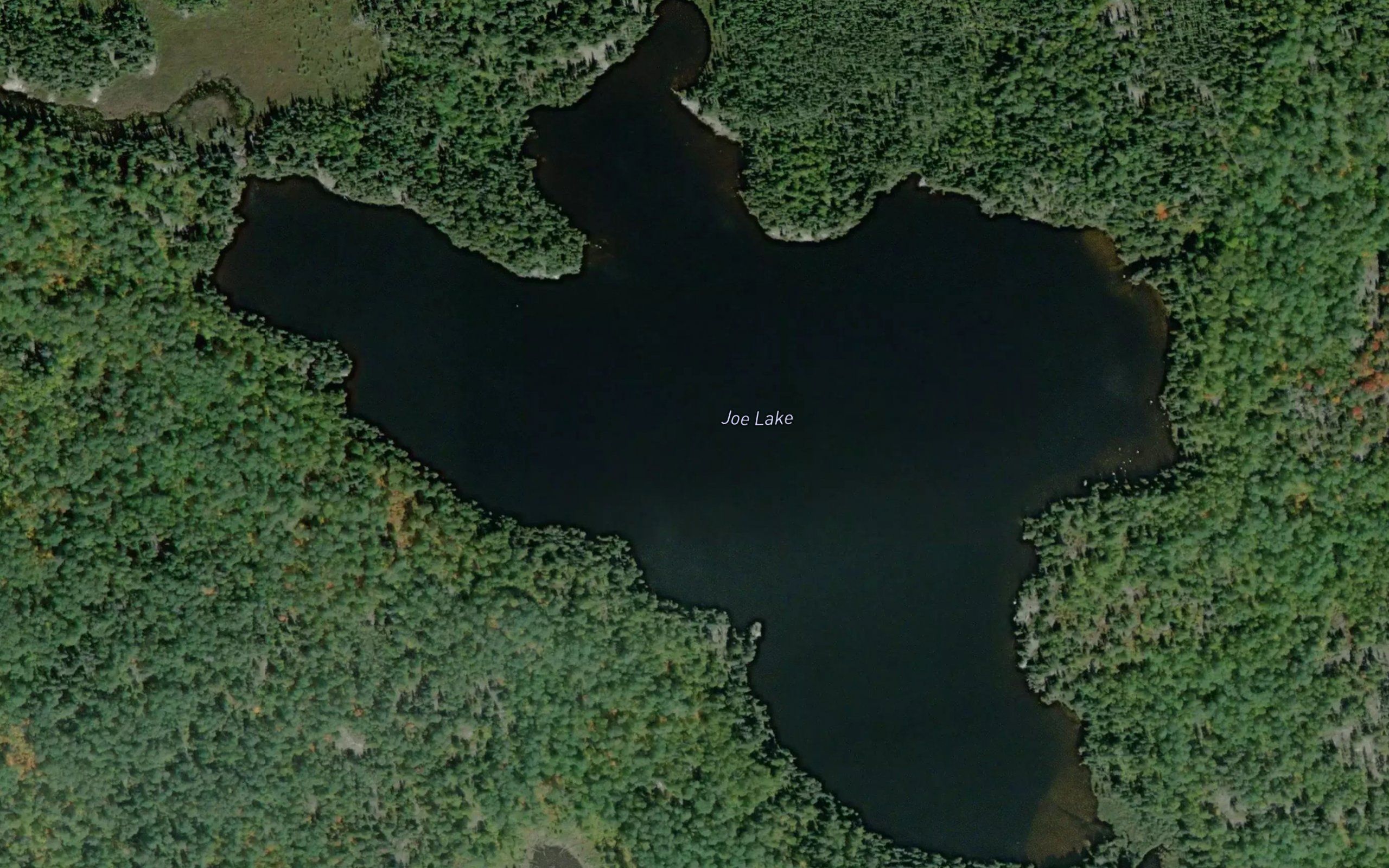 Joe Lake