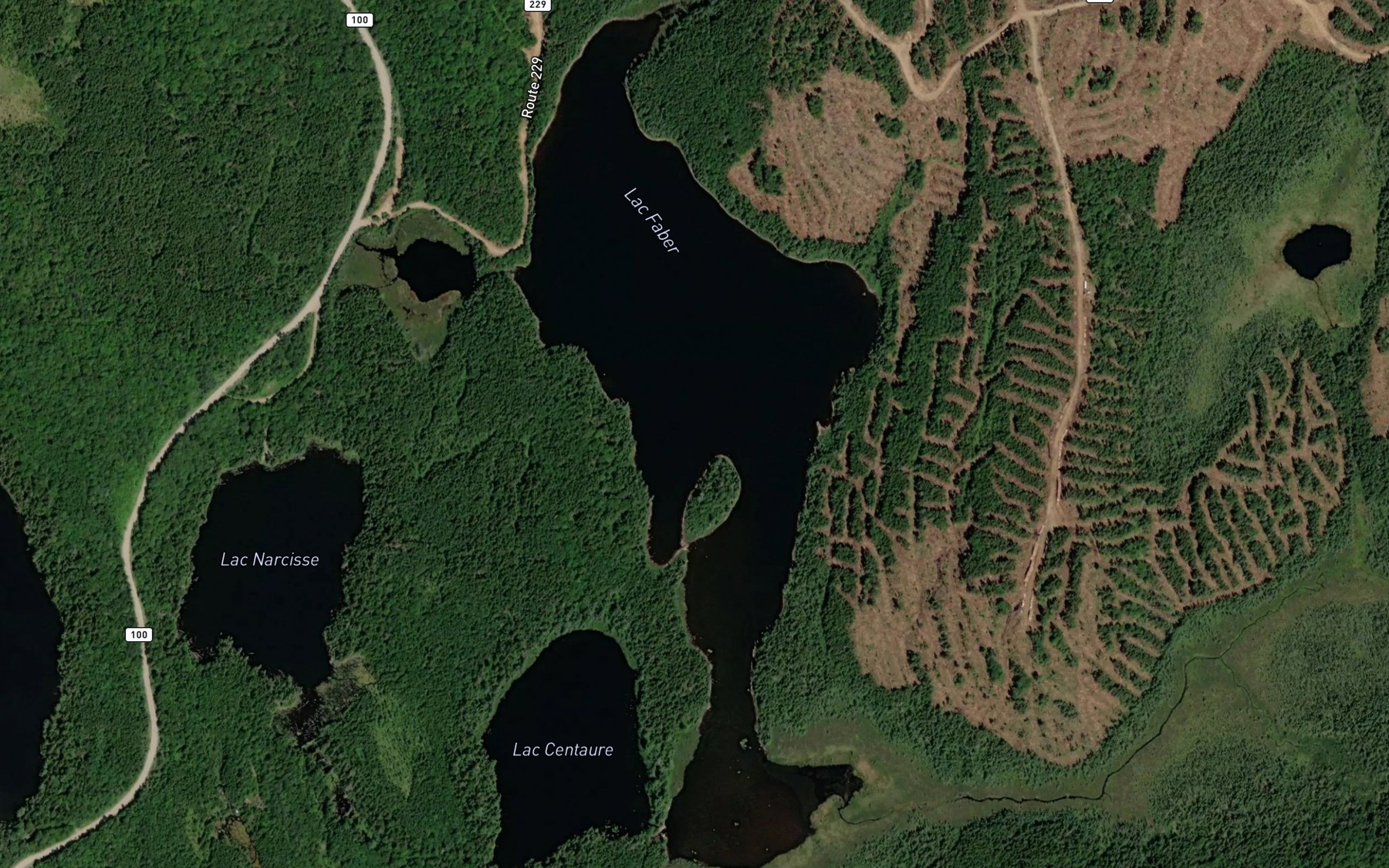 Satellite map of the Lac Faber