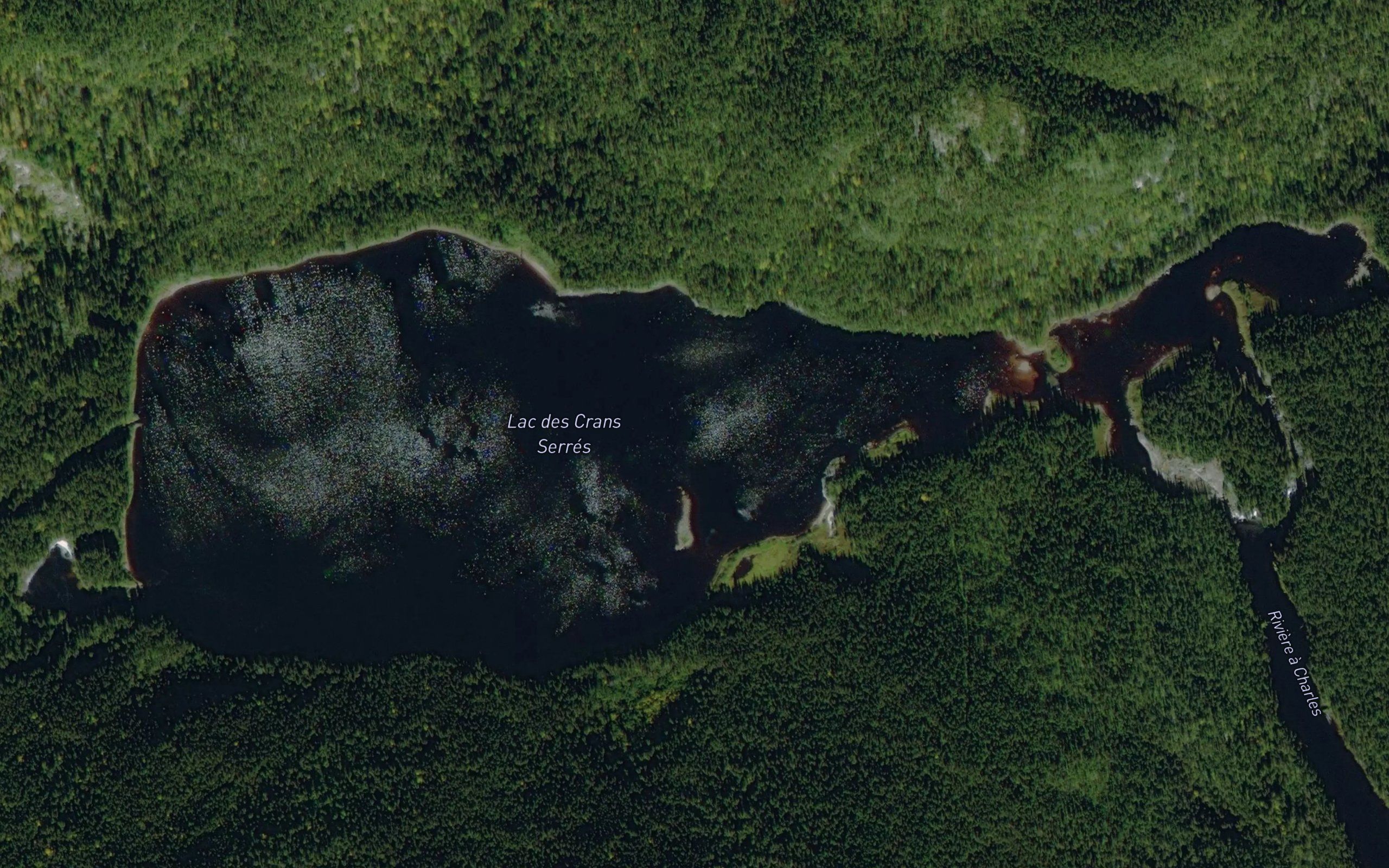 Lac des Crans Serres
