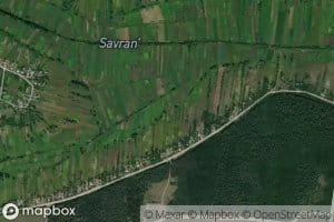 Unknown River (Rybky)