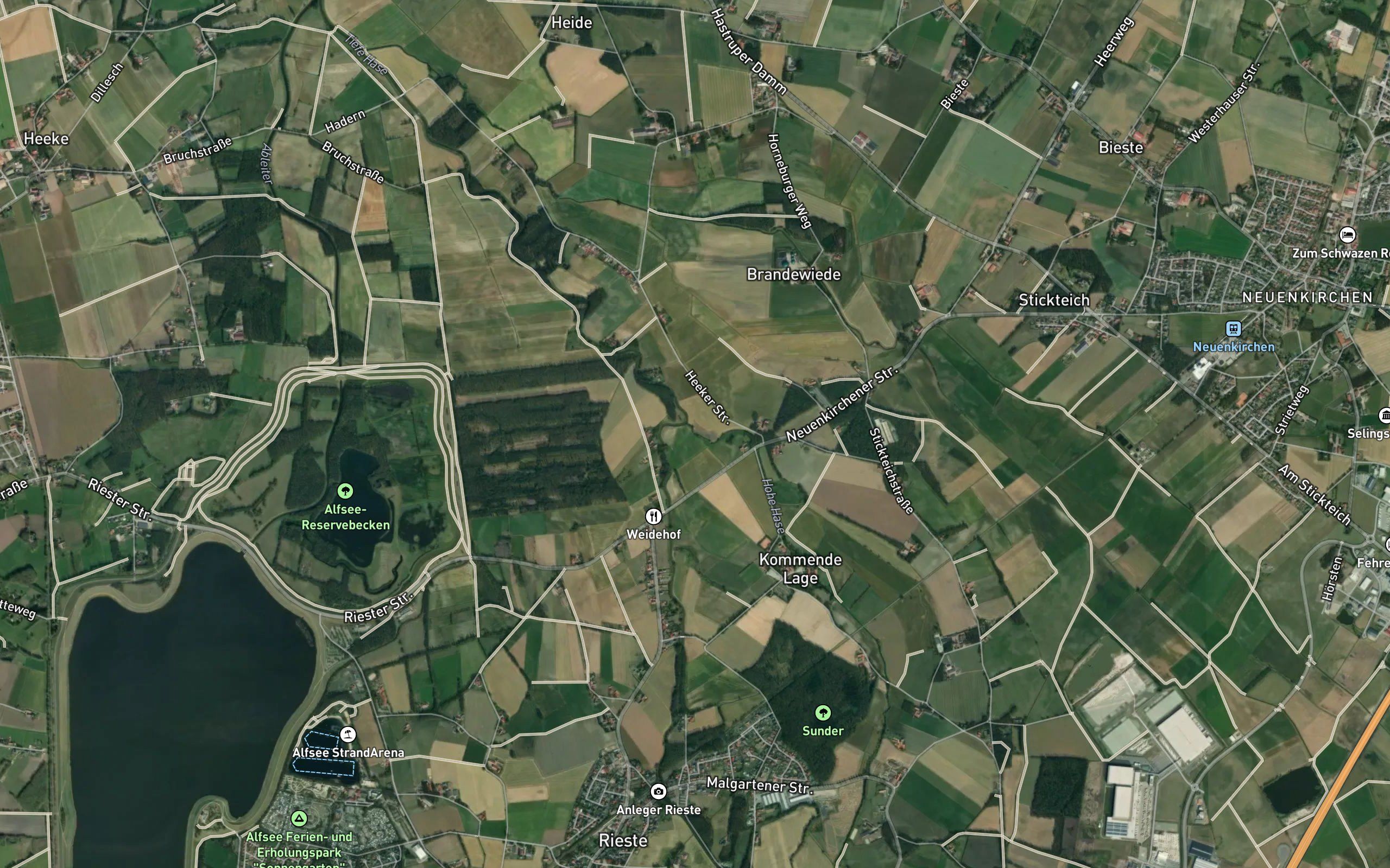 Hohe Hase