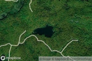 Thom Lake