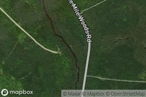 Lower Henderson Brook