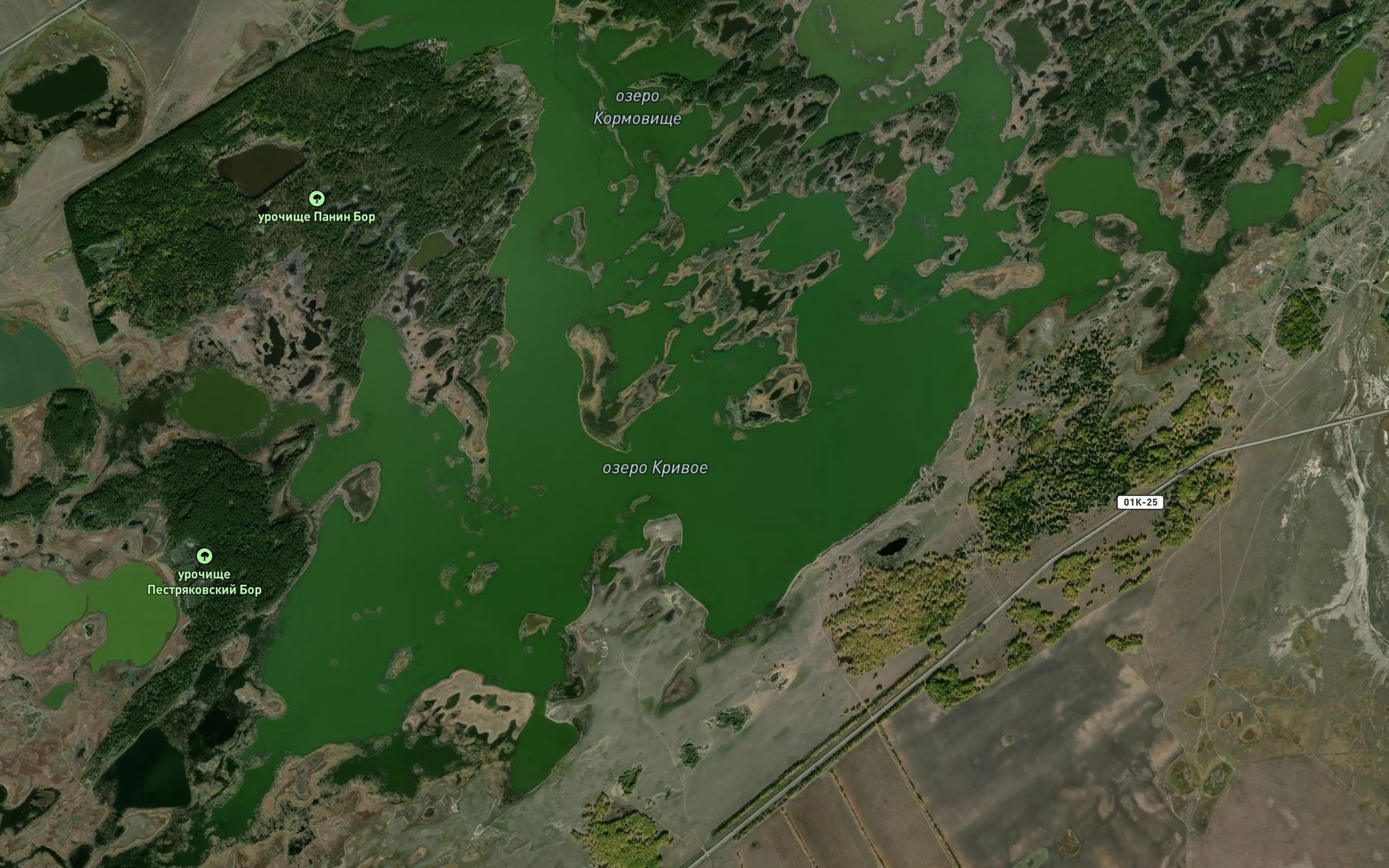 Satellite map of the Ozero Krivoye