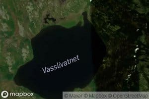 Vasslivatnet