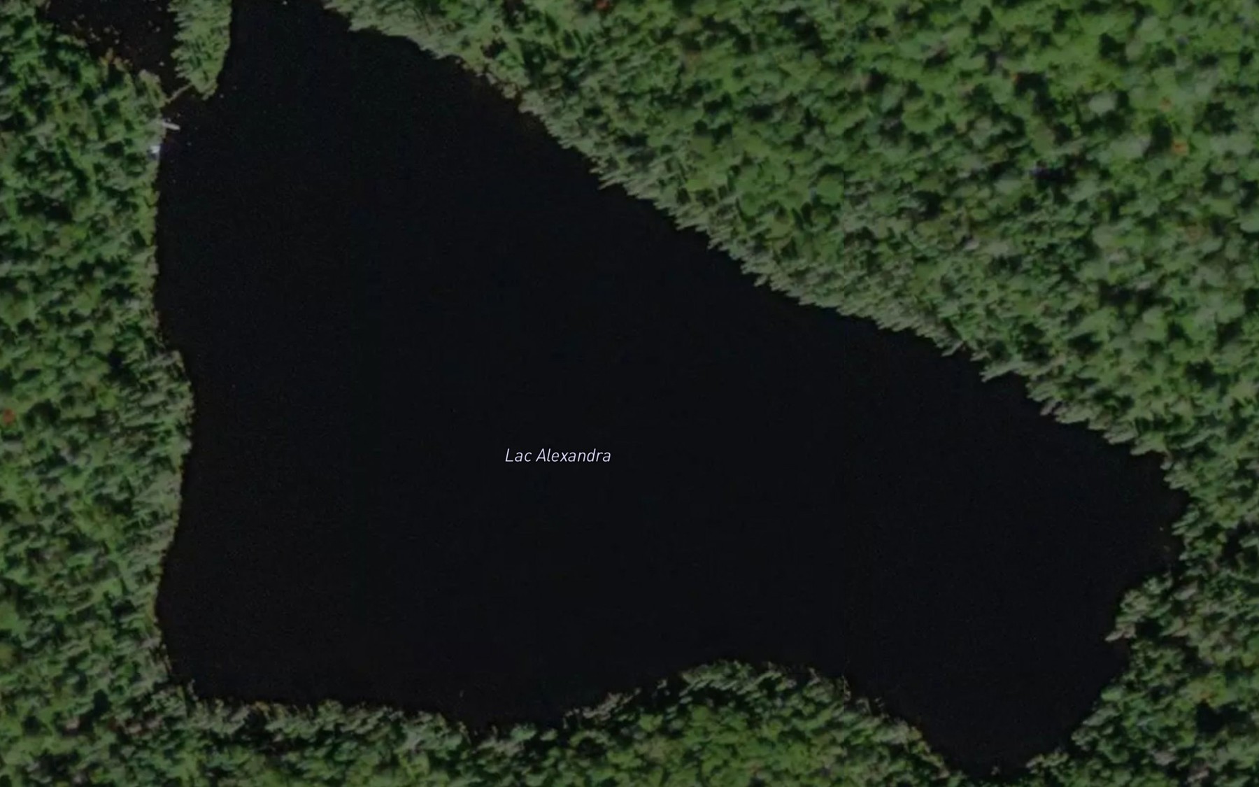Satellite map of the Lac Alexandra