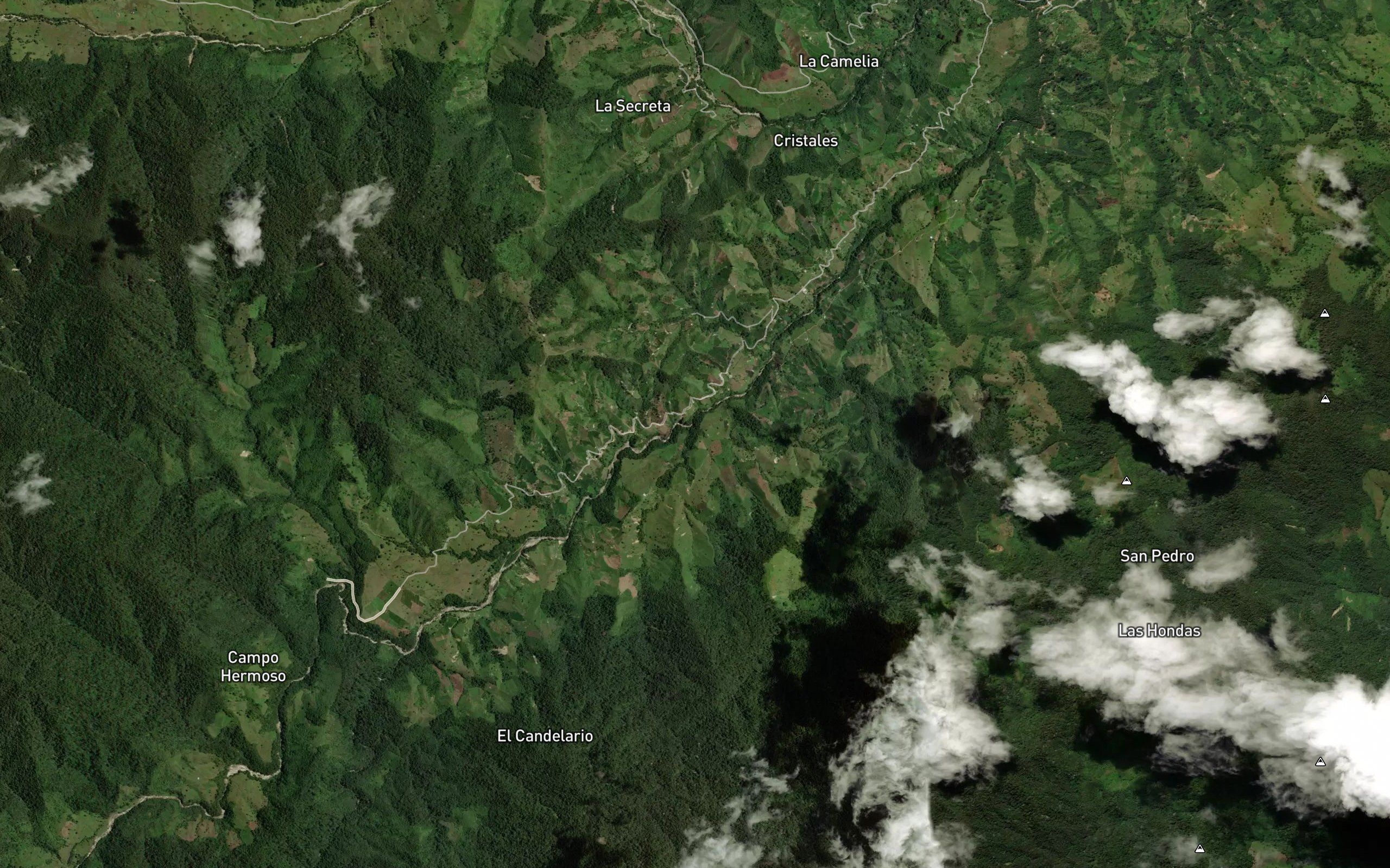 Quebrada La Palmera