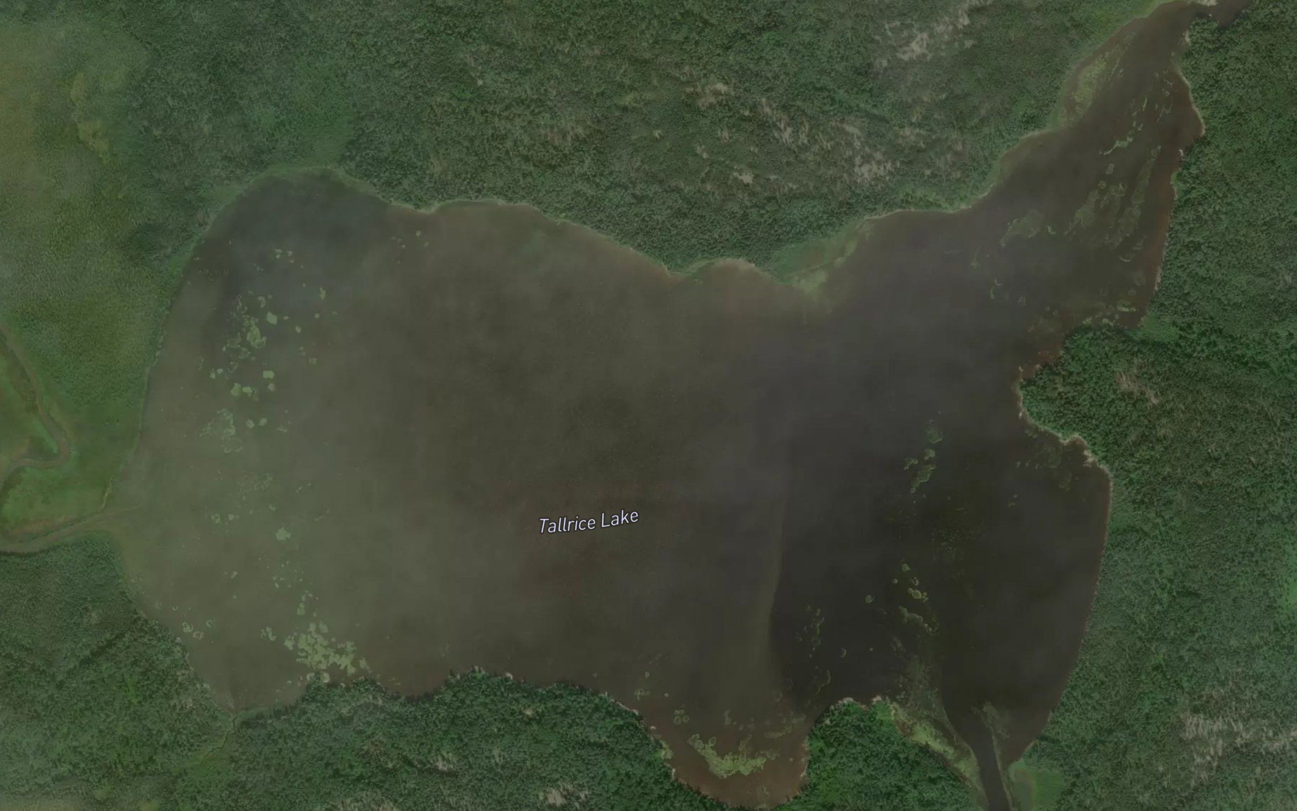 Tallrice Lake