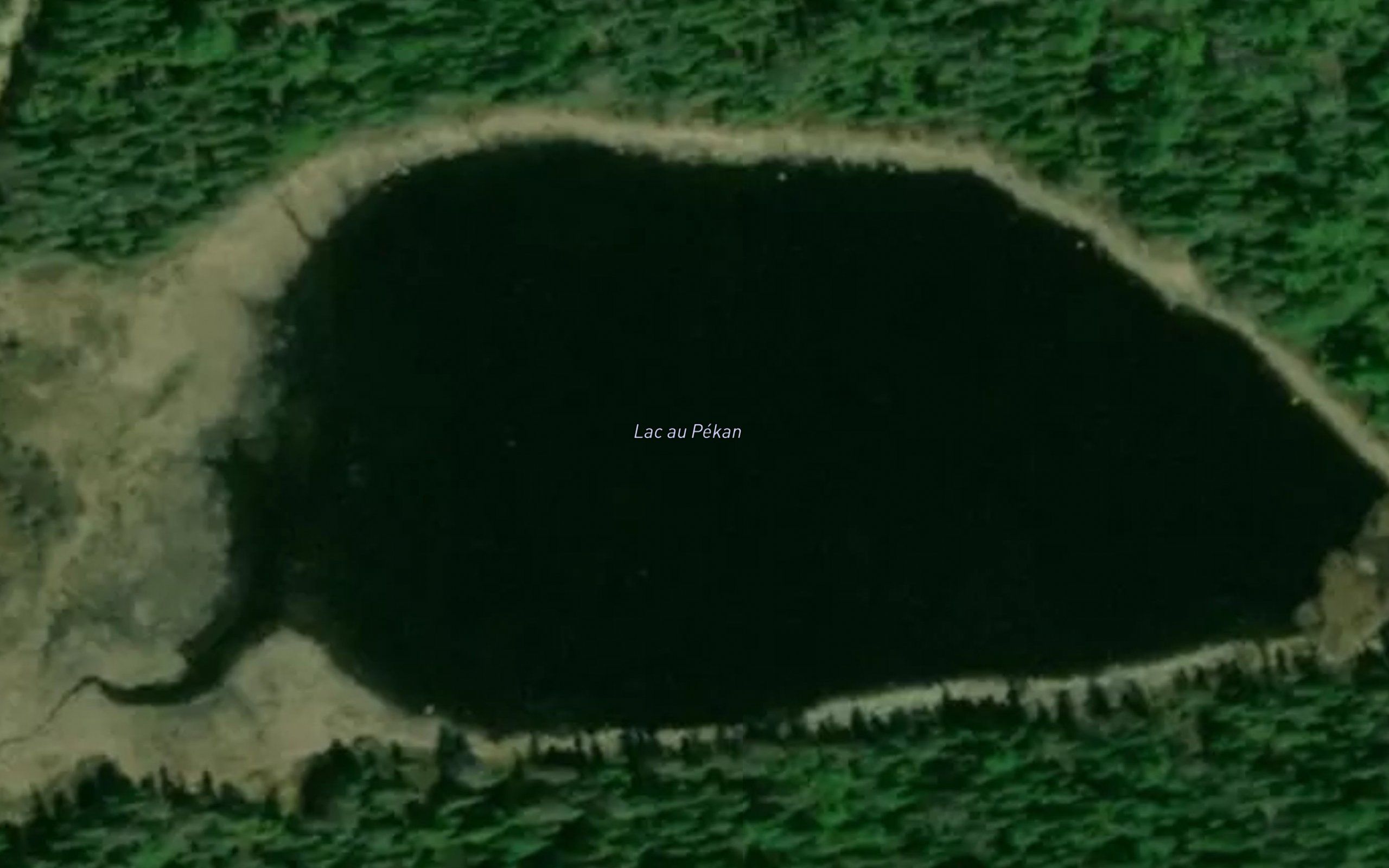 Lac au Pekan