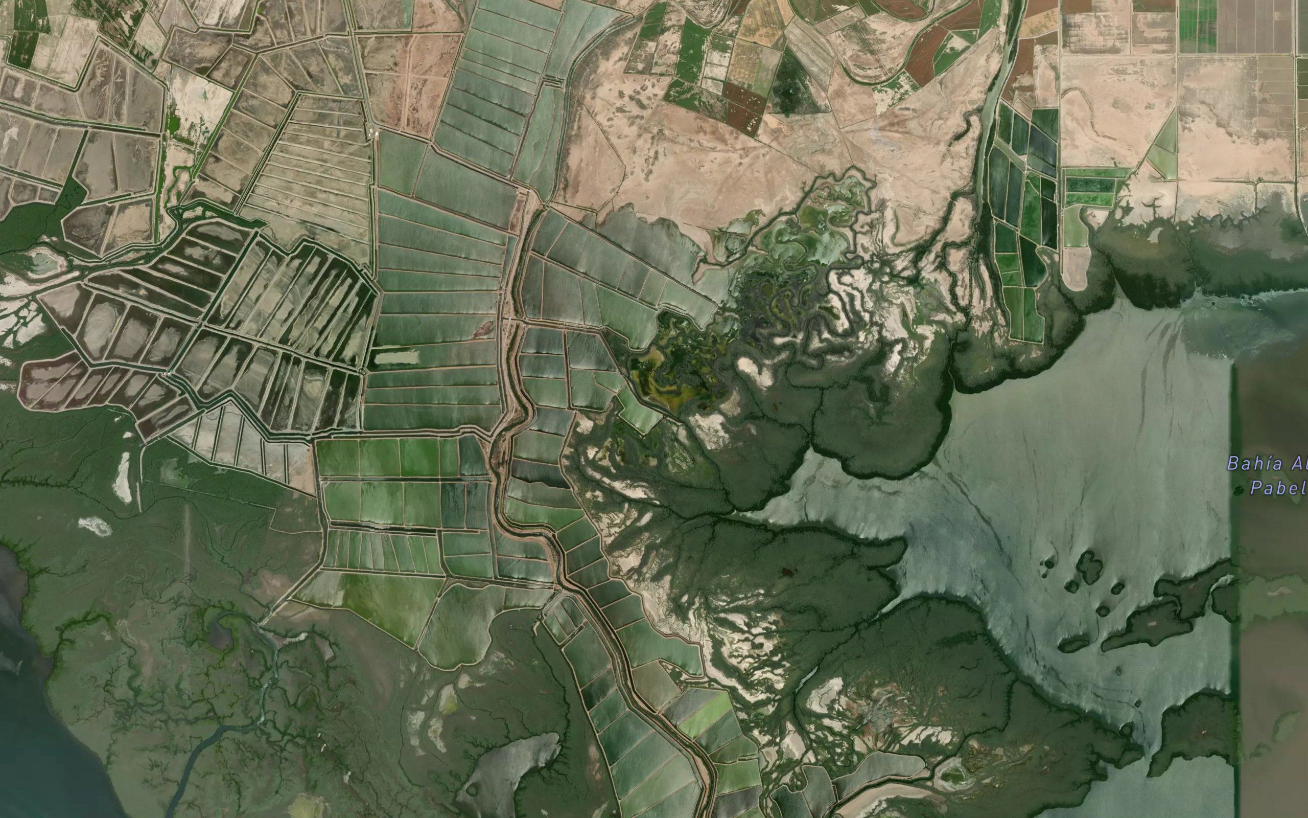 Estero El Mechudo