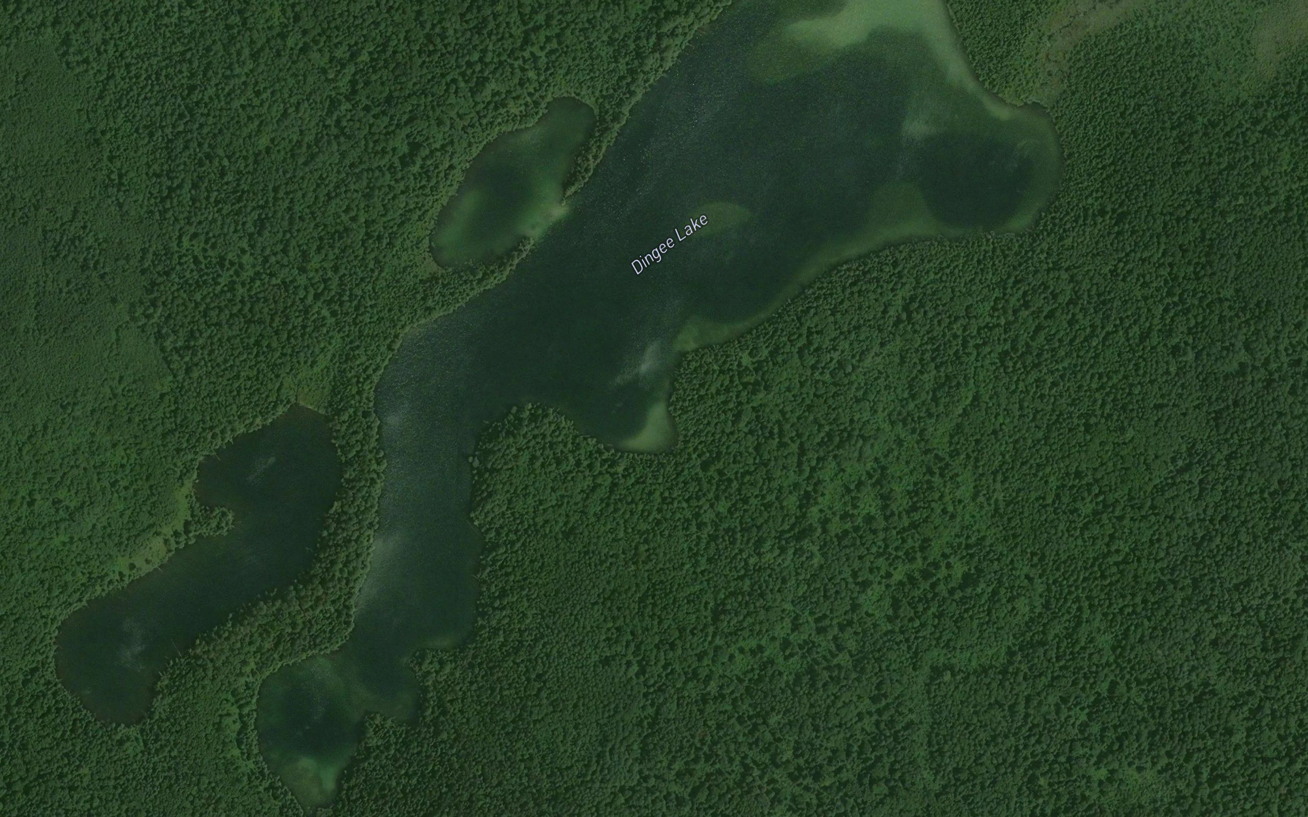 Dingee Lake