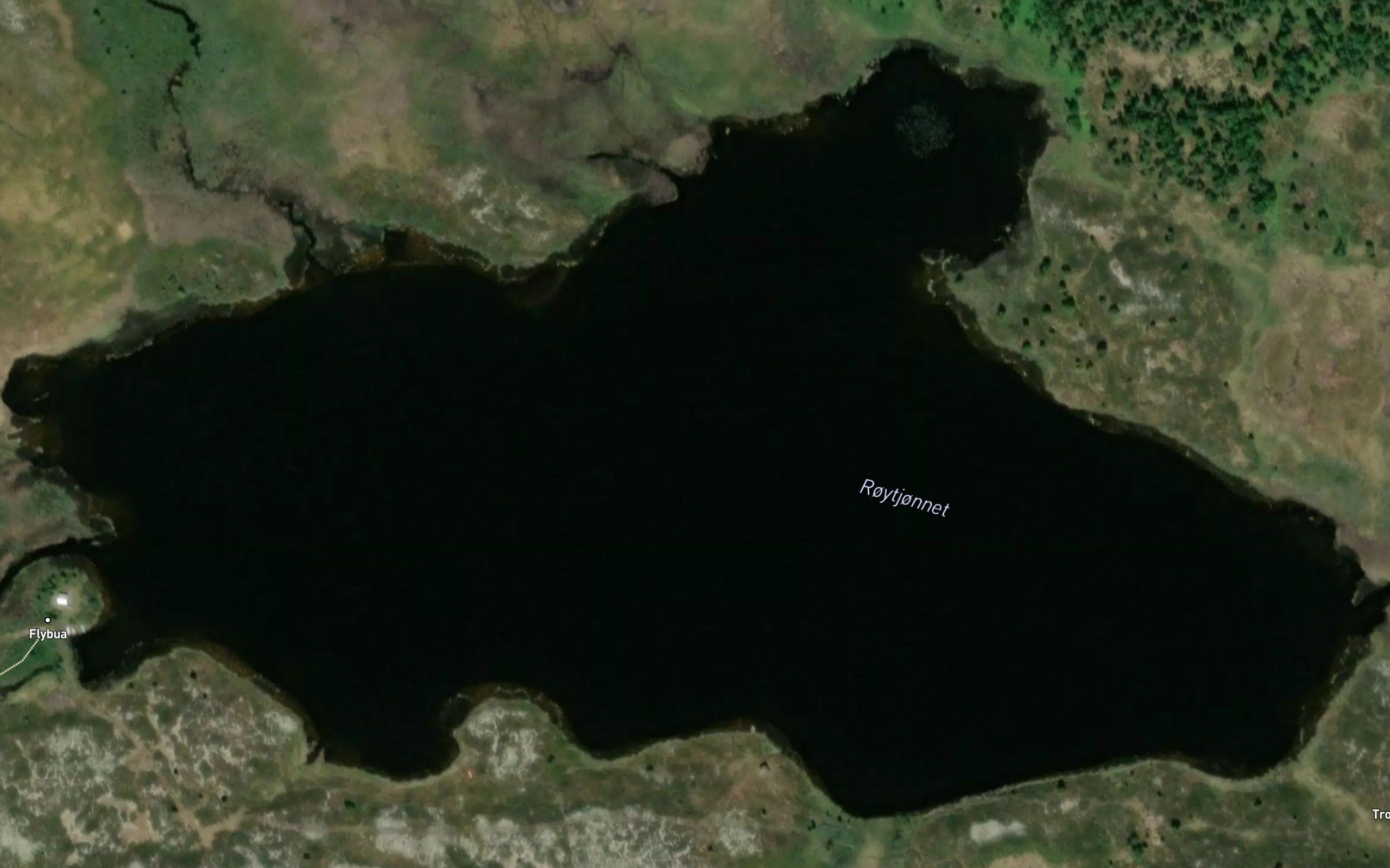 Roytjornet