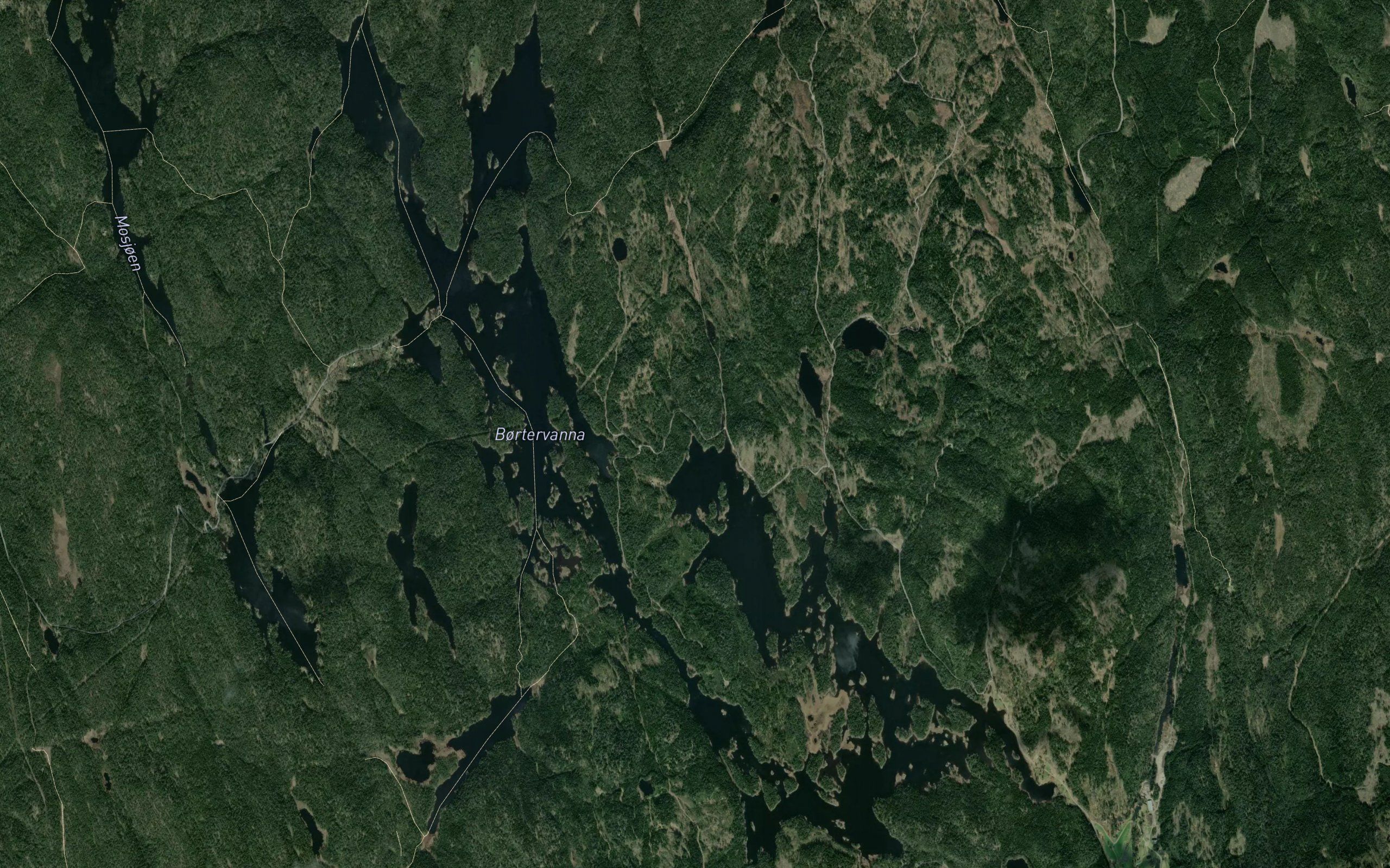 Tangetjernet