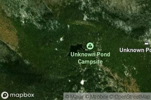 Unknown Pond