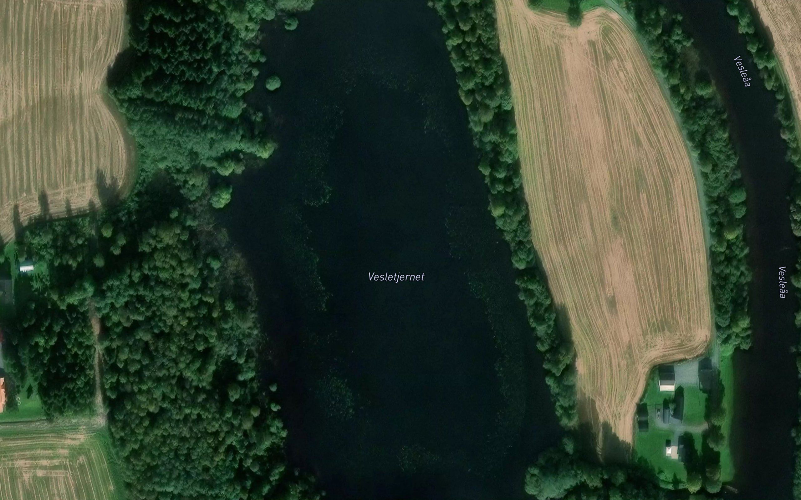 Vesletjernet