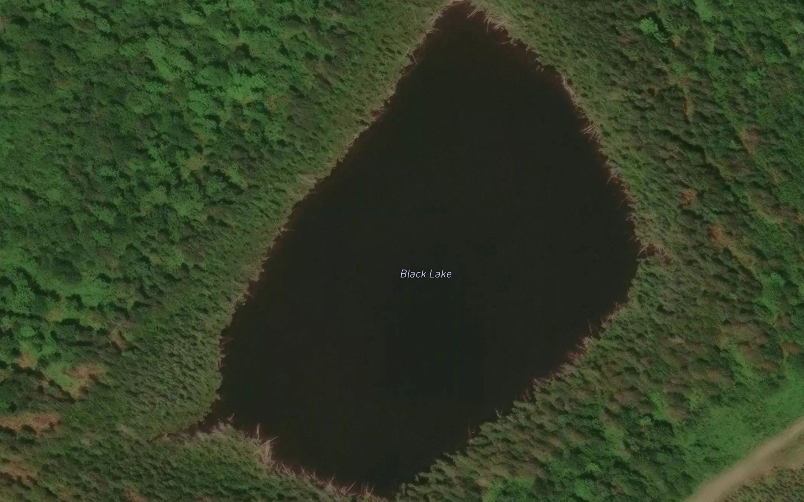 Black Lake