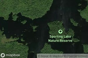 Sporting Lake