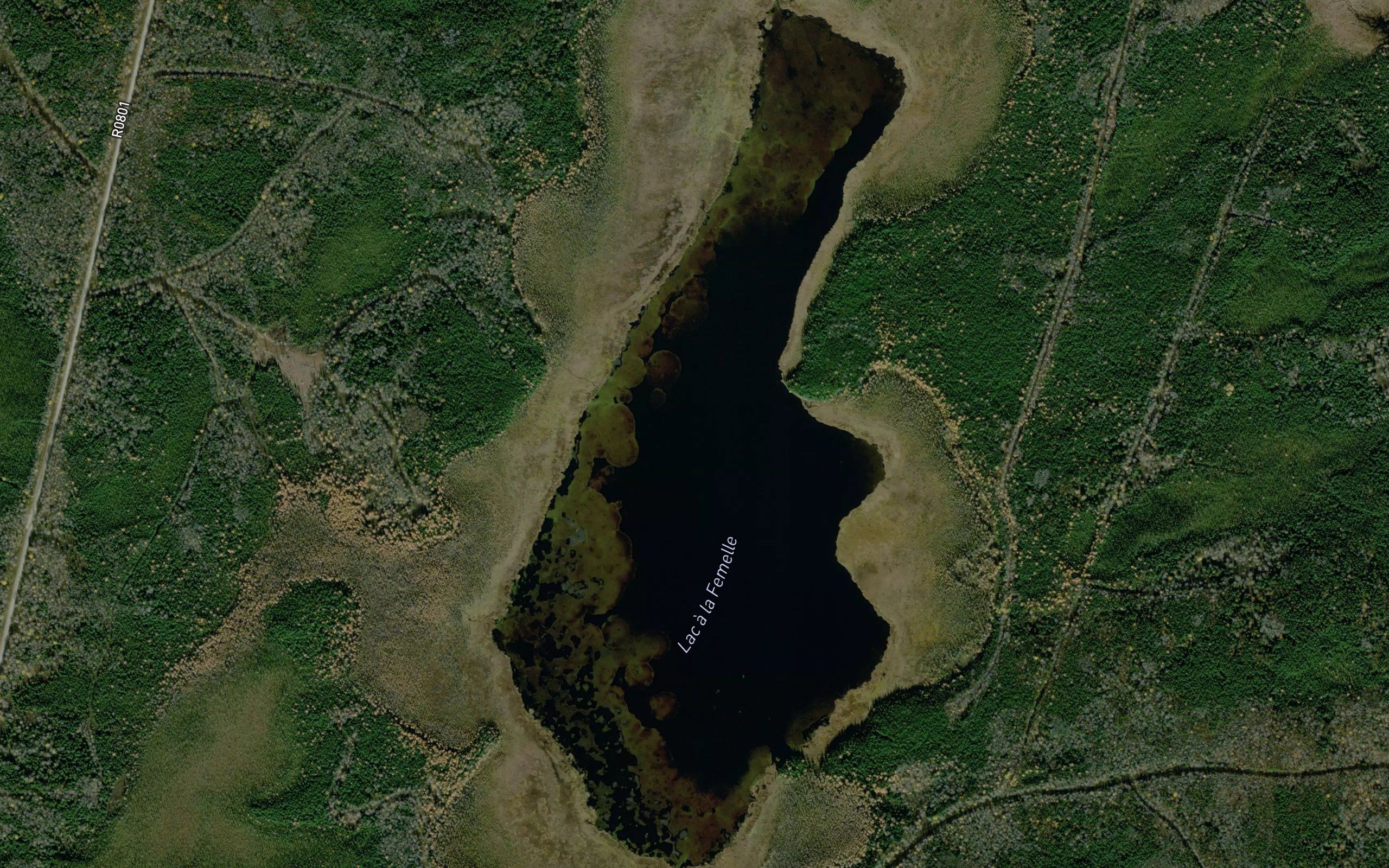 Lac a la Femelle