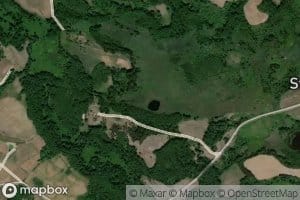 Pliauskiniu Ezerelis