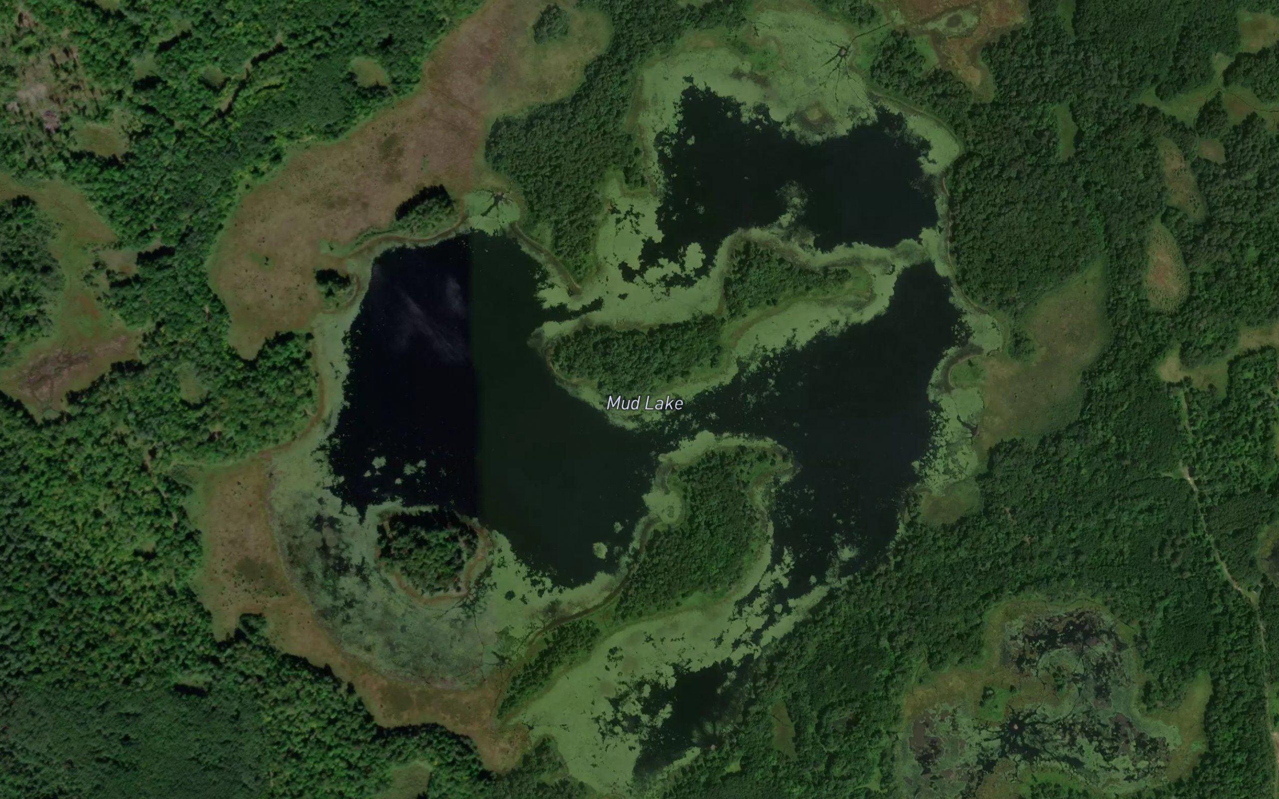 Mud Lake