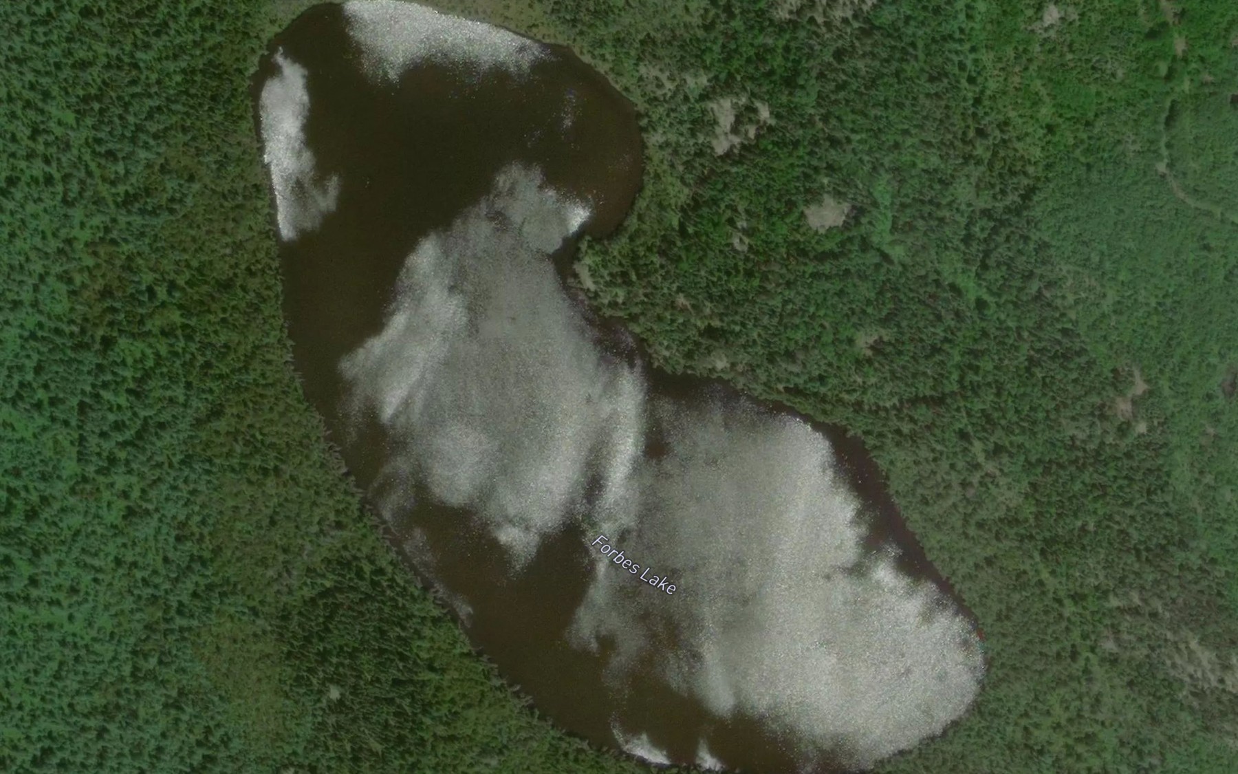 Satellite map of the Forbes Lake