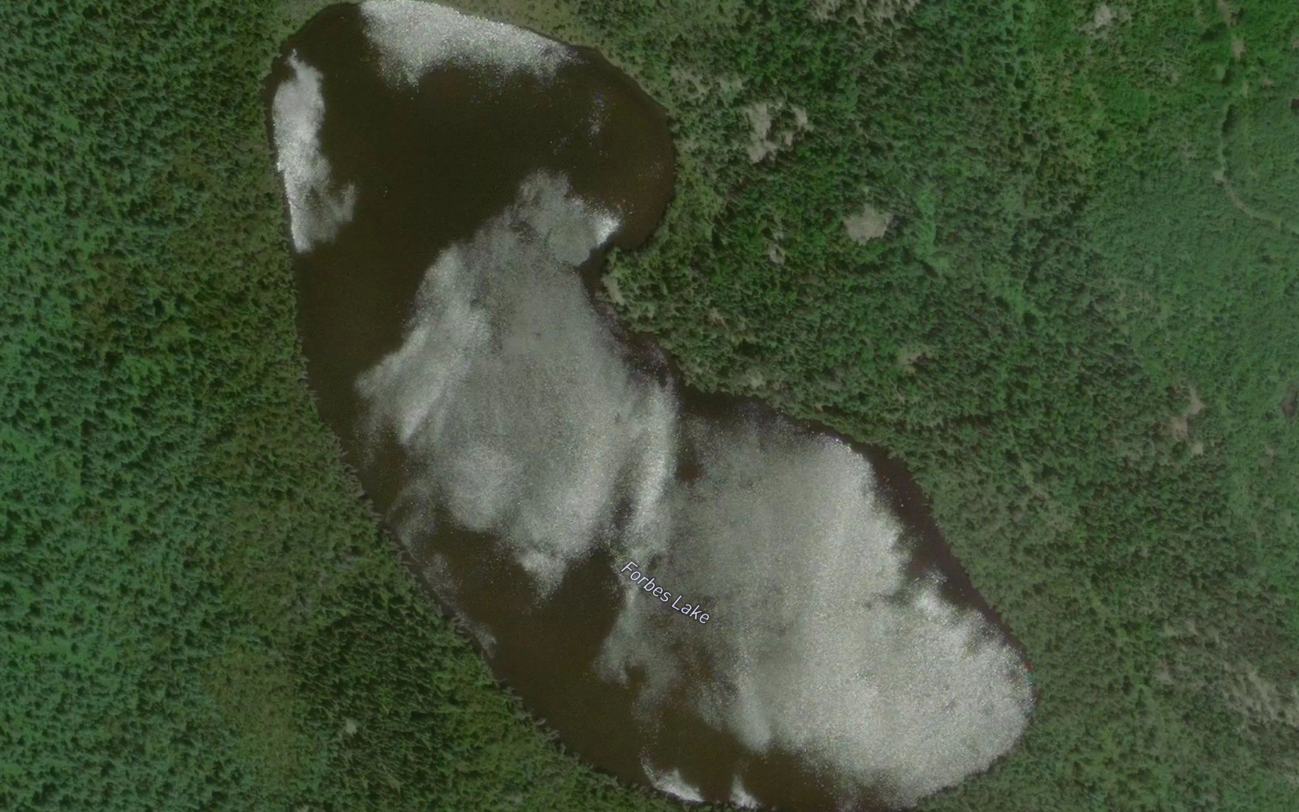 Forbes Lake