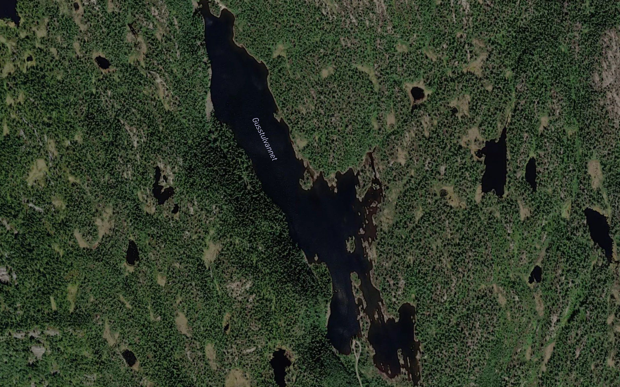 Gusstolvatnet