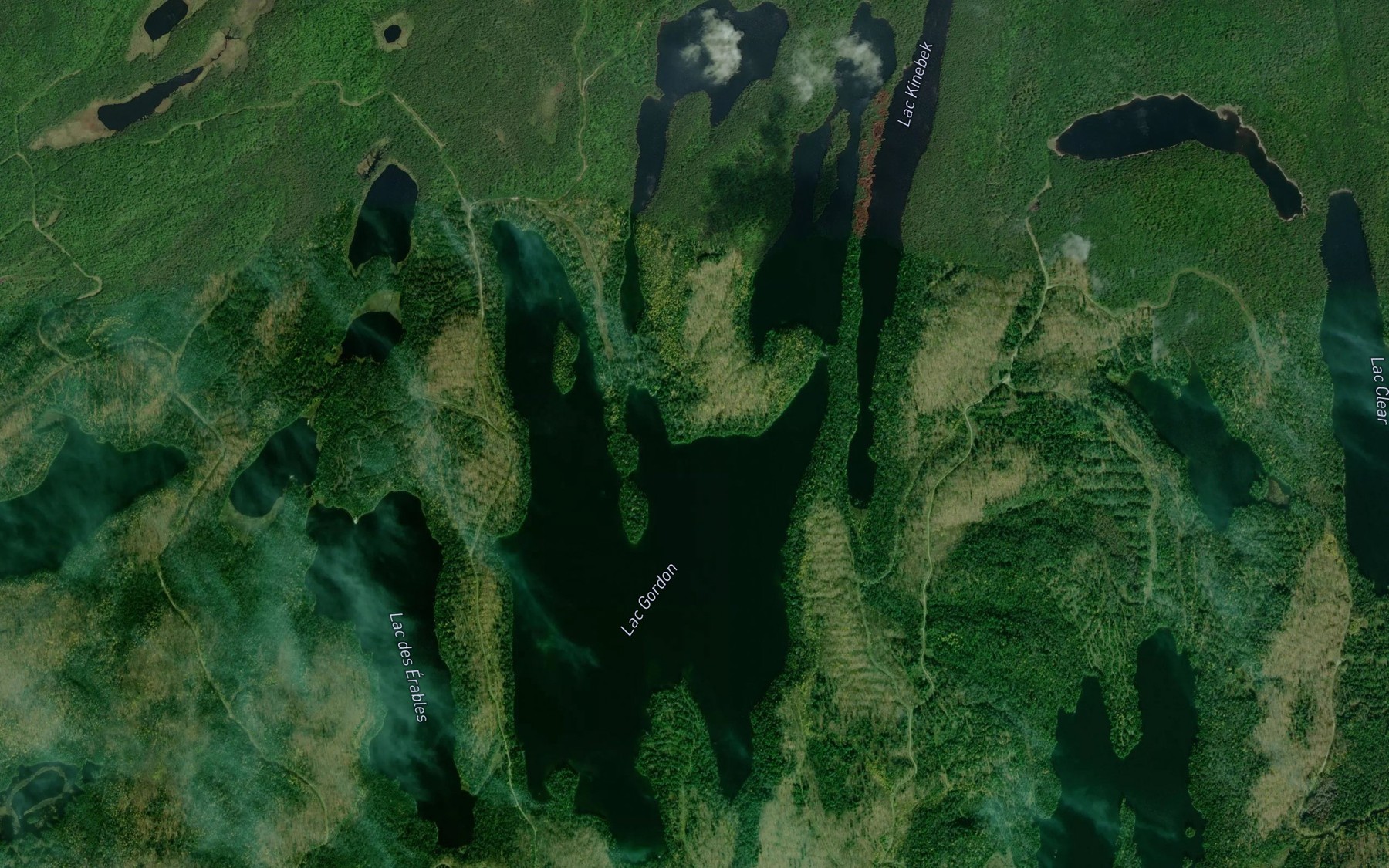 Satellite map of the Lac Gordon